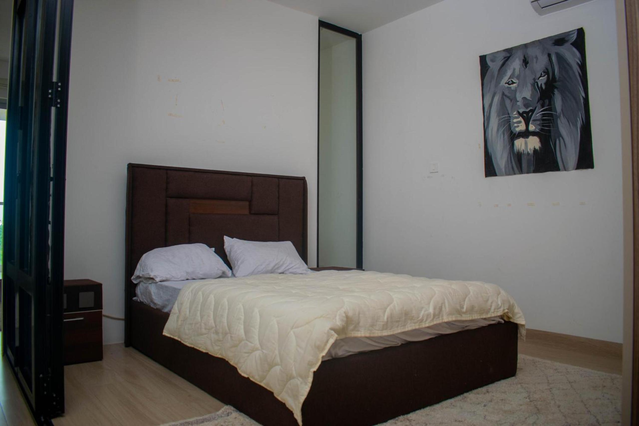 One Bedroom Apartment view 5