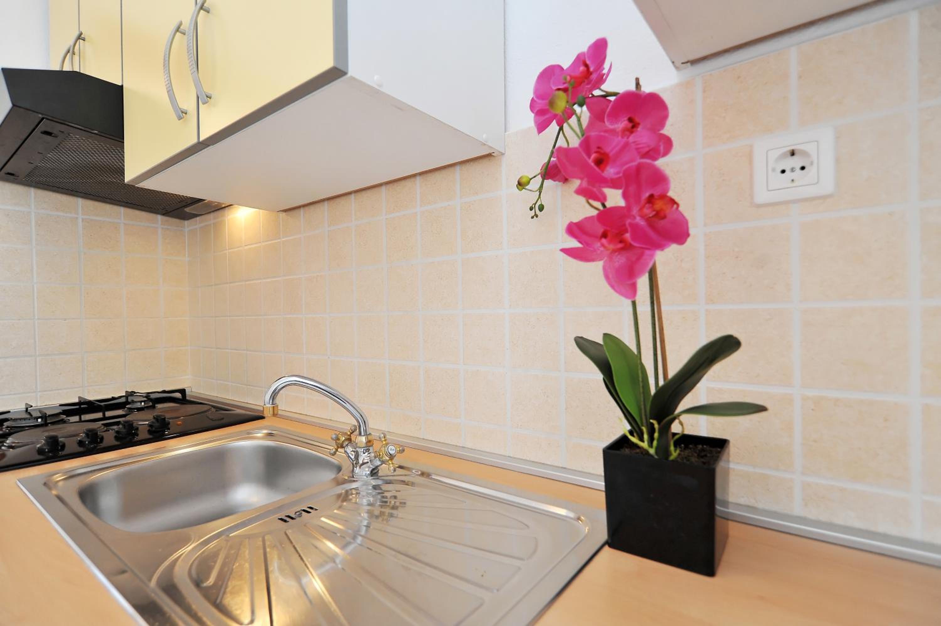 Apartments Rasin