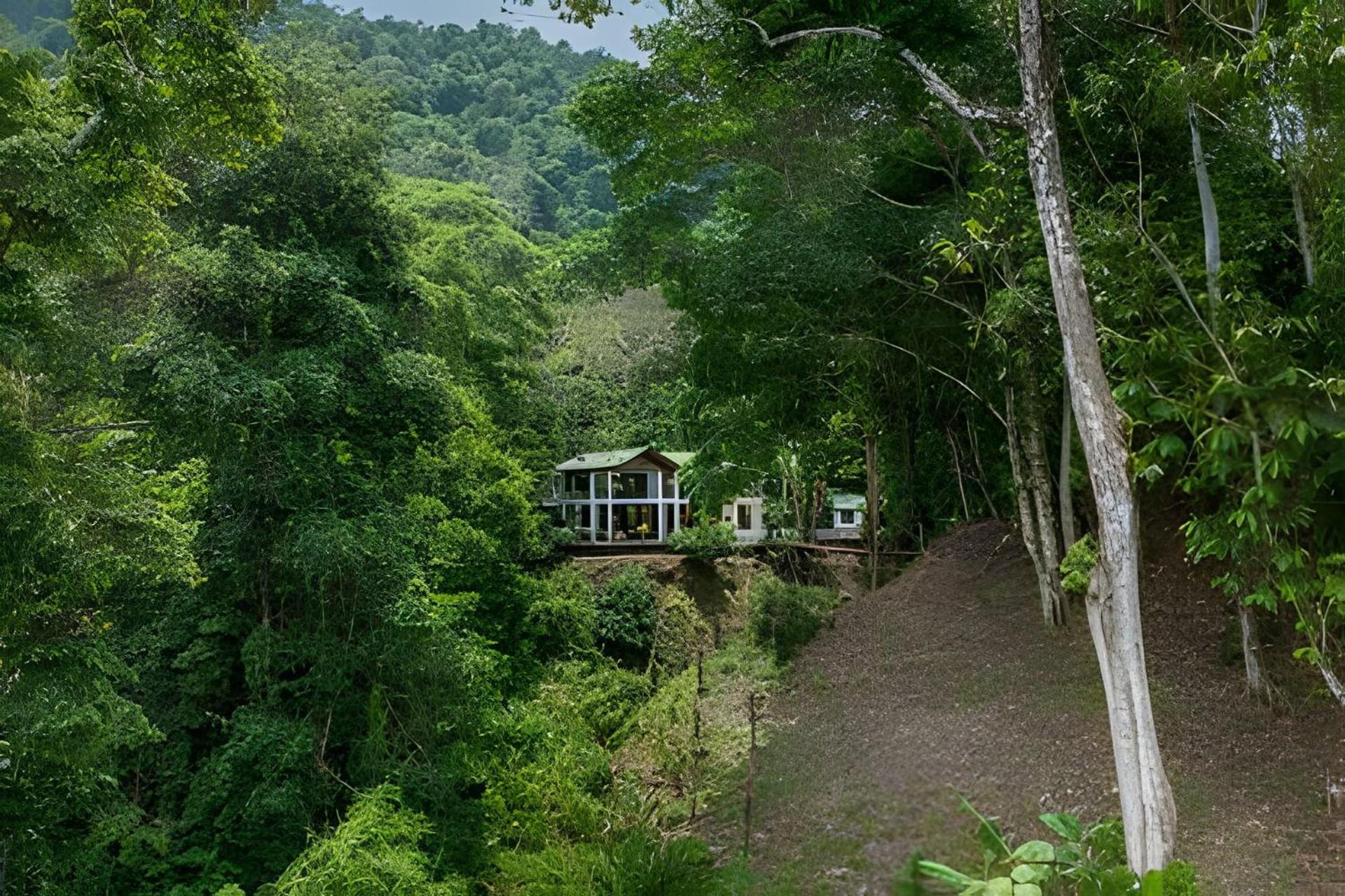 Private Jungle Home Sorrounded By Two Creeks