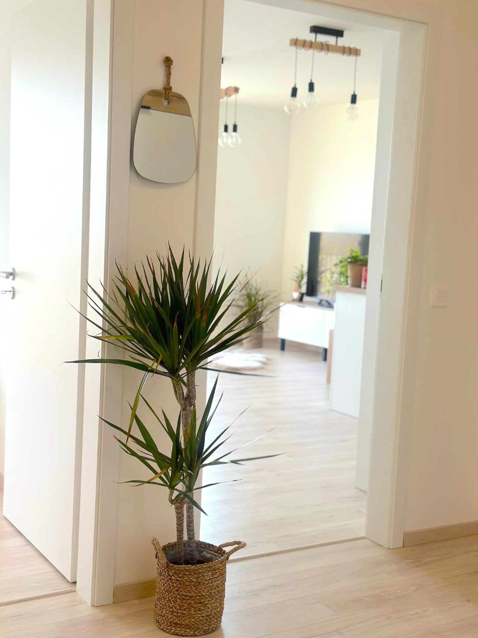 New BNB Apartment In the Ostrava with parking option