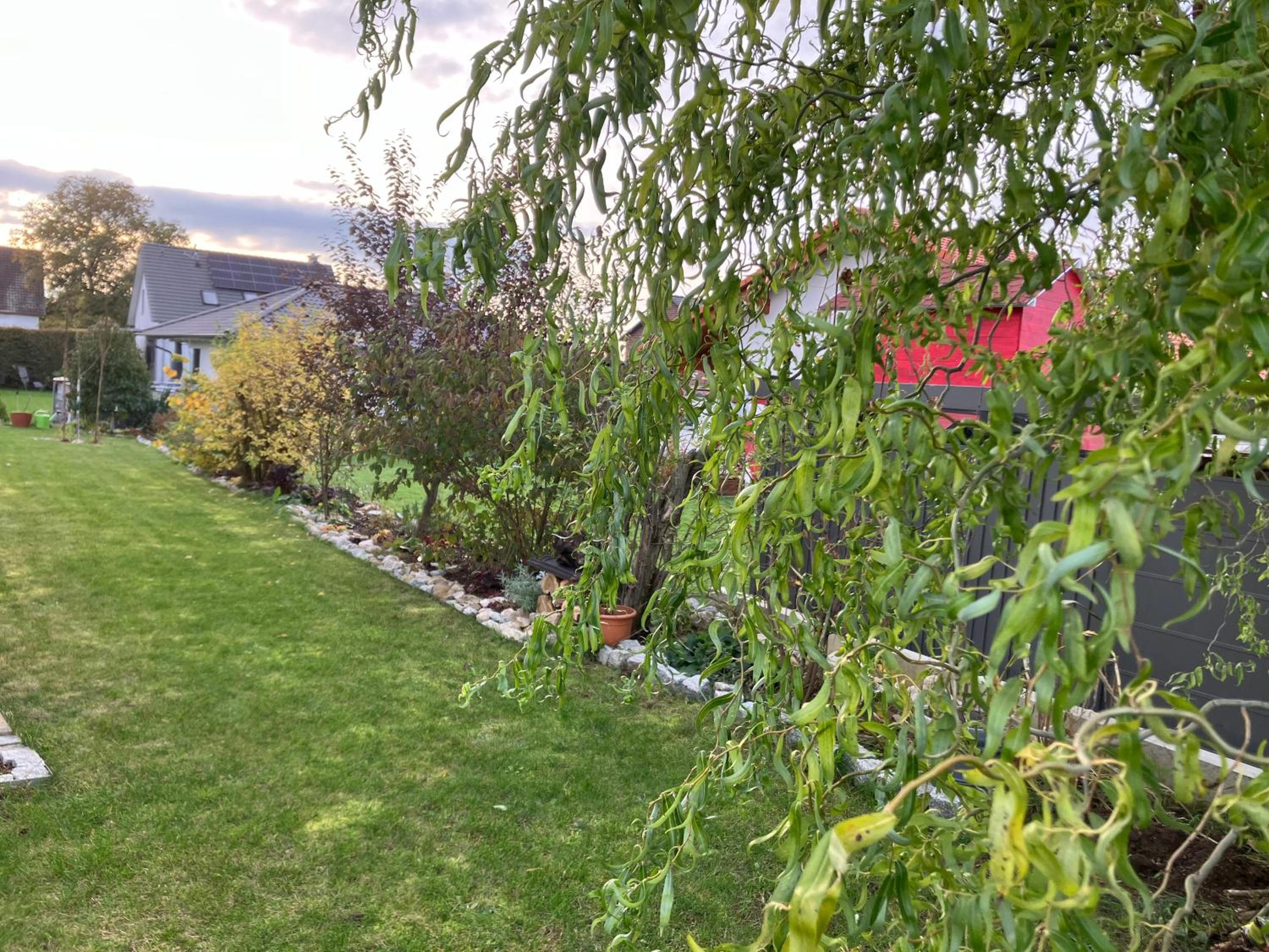 Photo 28