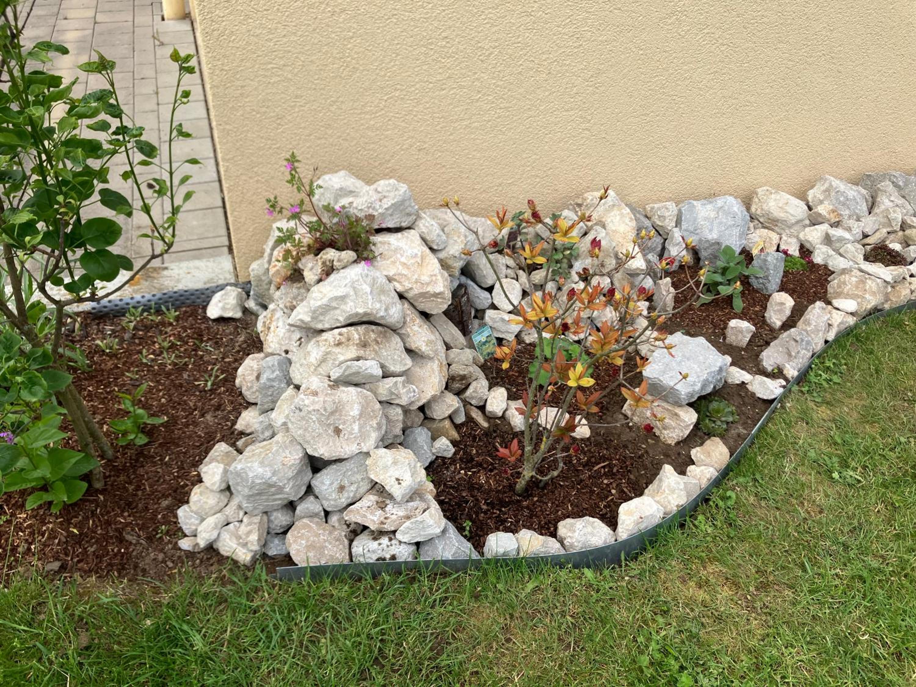 Photo 27