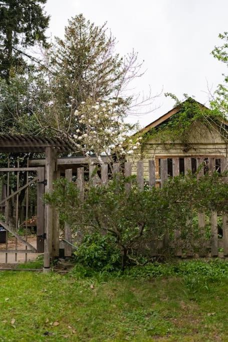 Lakefront Cottage, Salt Spring Island