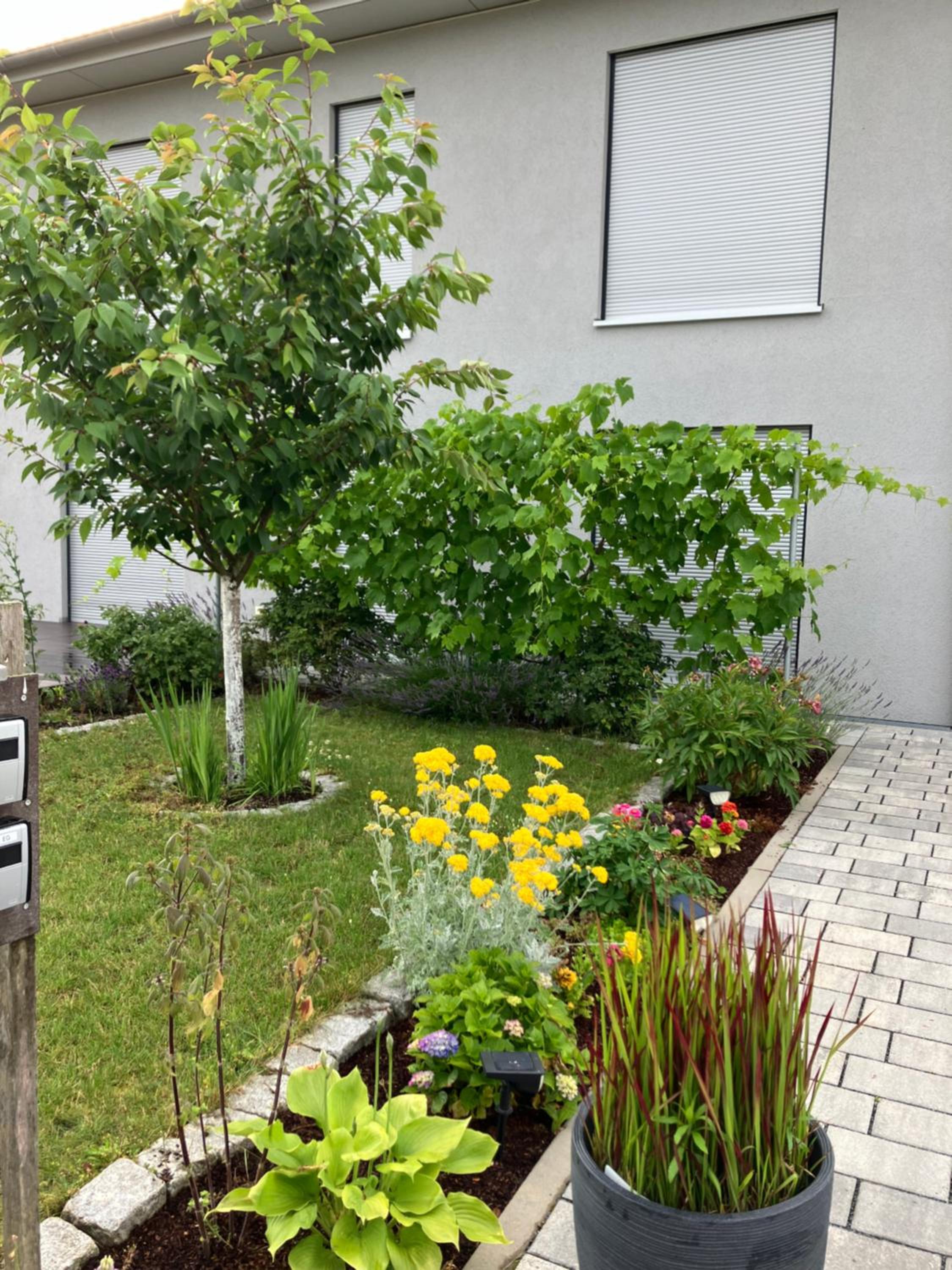 Photo 31