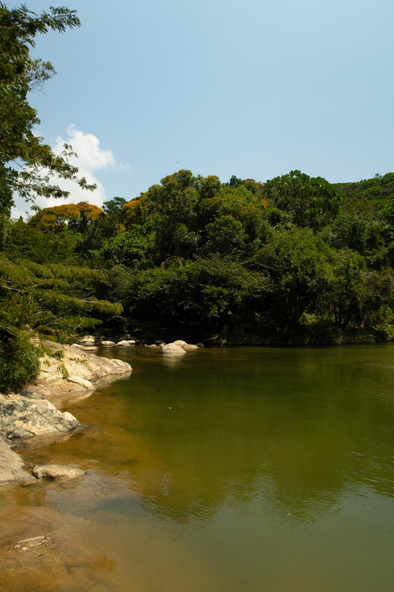RíoBosque Cabañas de lujo frente al rio desayuno incluido san carlos antioquia