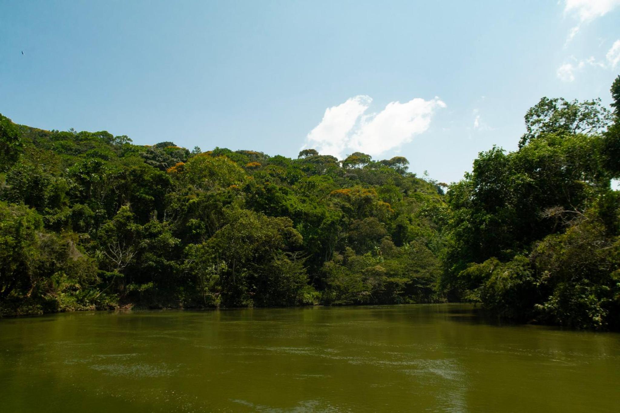 RíoBosque Cabañas de lujo frente al rio desayuno incluido san carlos antioquia