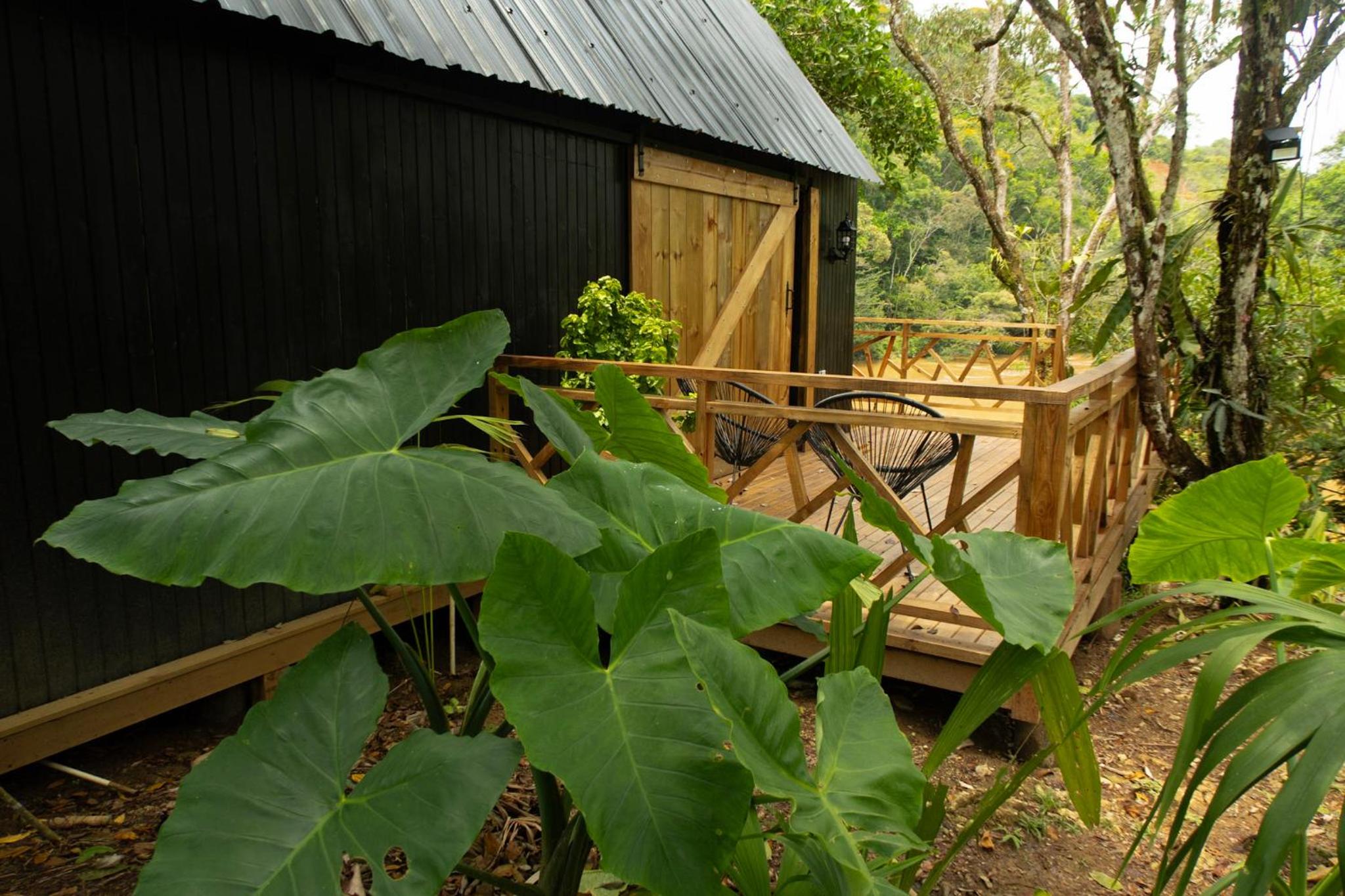 RíoBosque Cabañas de lujo frente al rio desayuno incluido san carlos antioquia