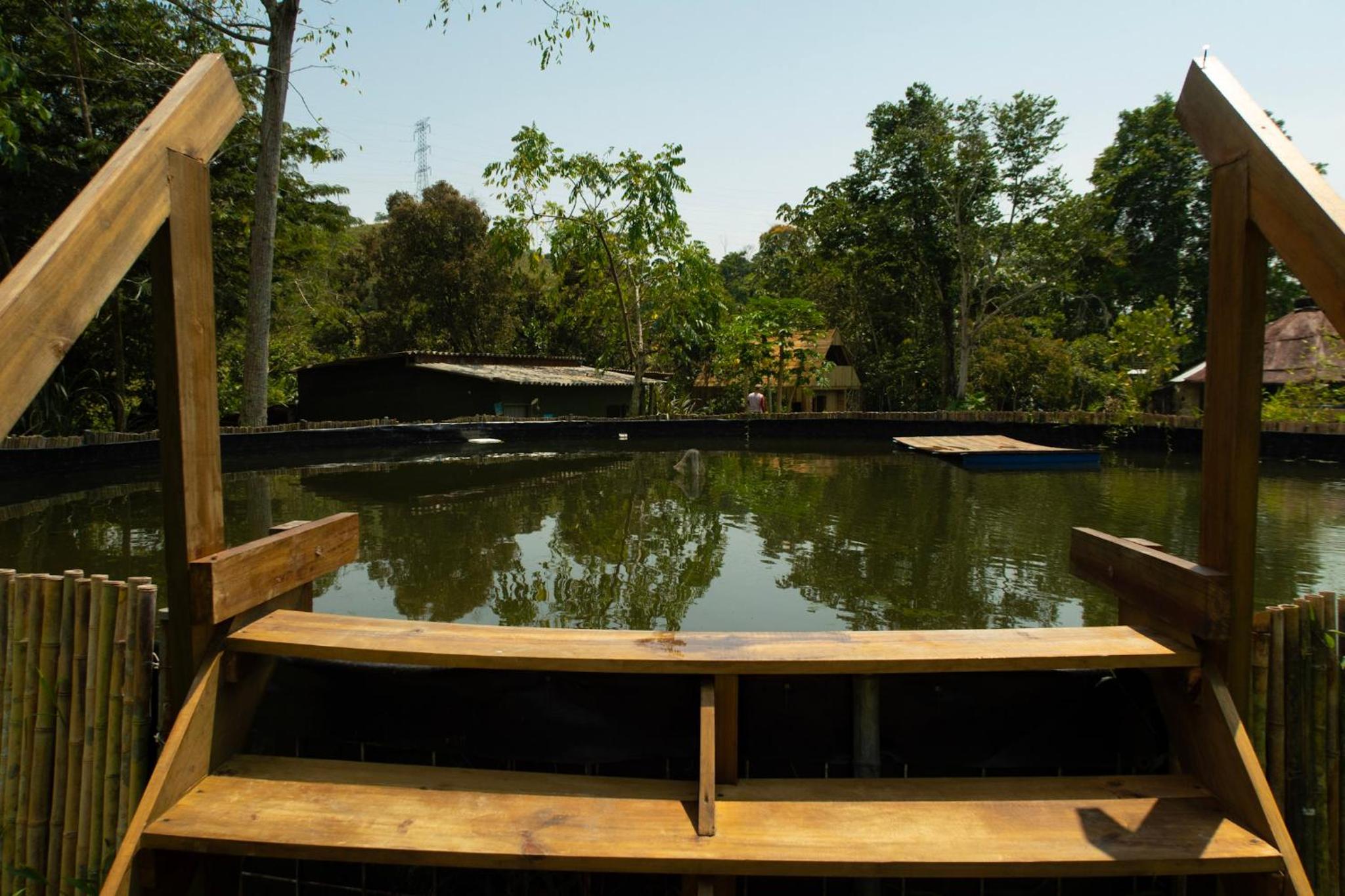 RíoBosque Cabañas de lujo frente al rio desayuno incluido san carlos antioquia