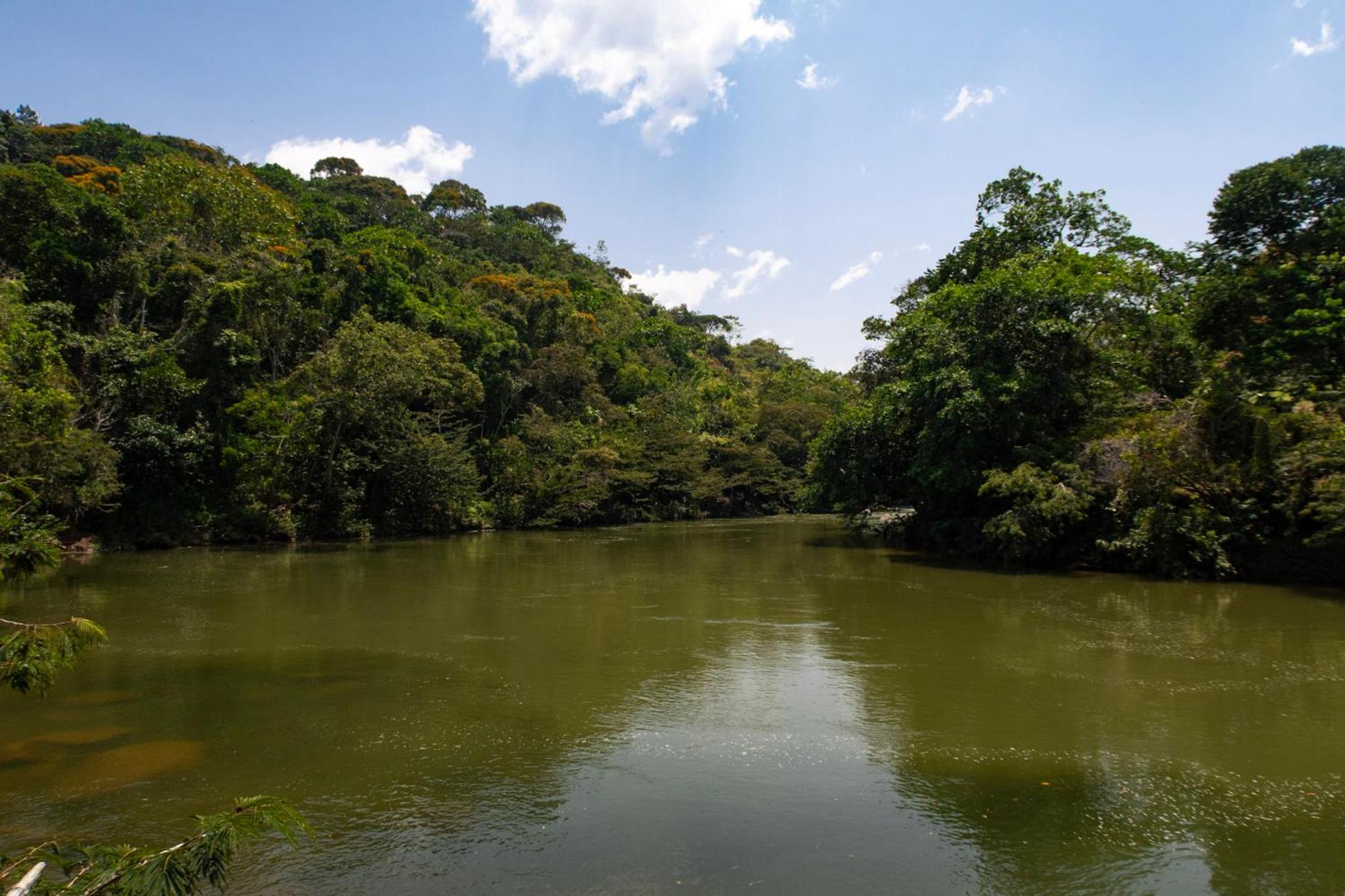 RíoBosque Cabañas de lujo frente al rio desayuno incluido san carlos antioquia