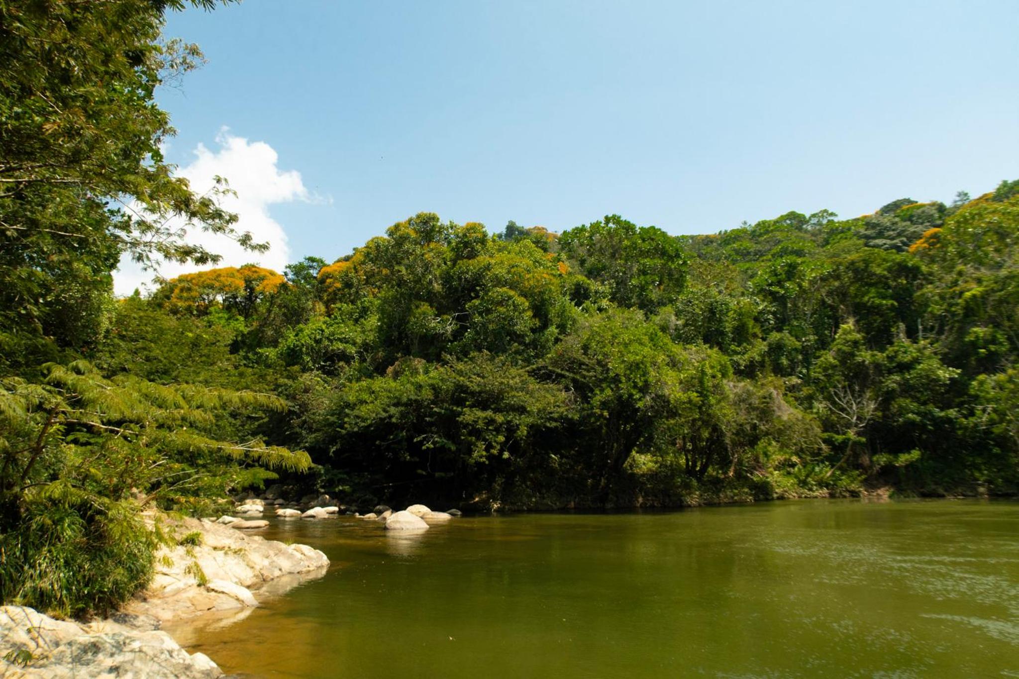 RíoBosque Cabañas de lujo frente al rio desayuno incluido san carlos antioquia