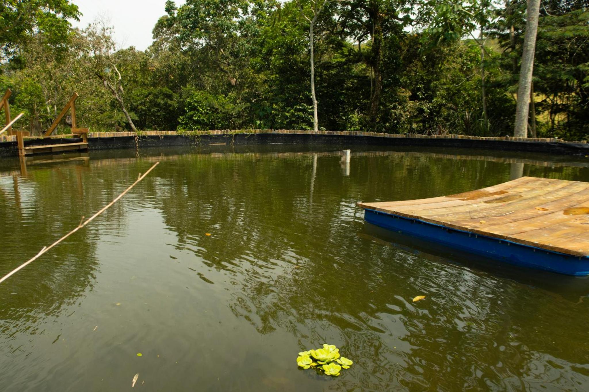 RíoBosque Cabañas de lujo frente al rio desayuno incluido san carlos antioquia