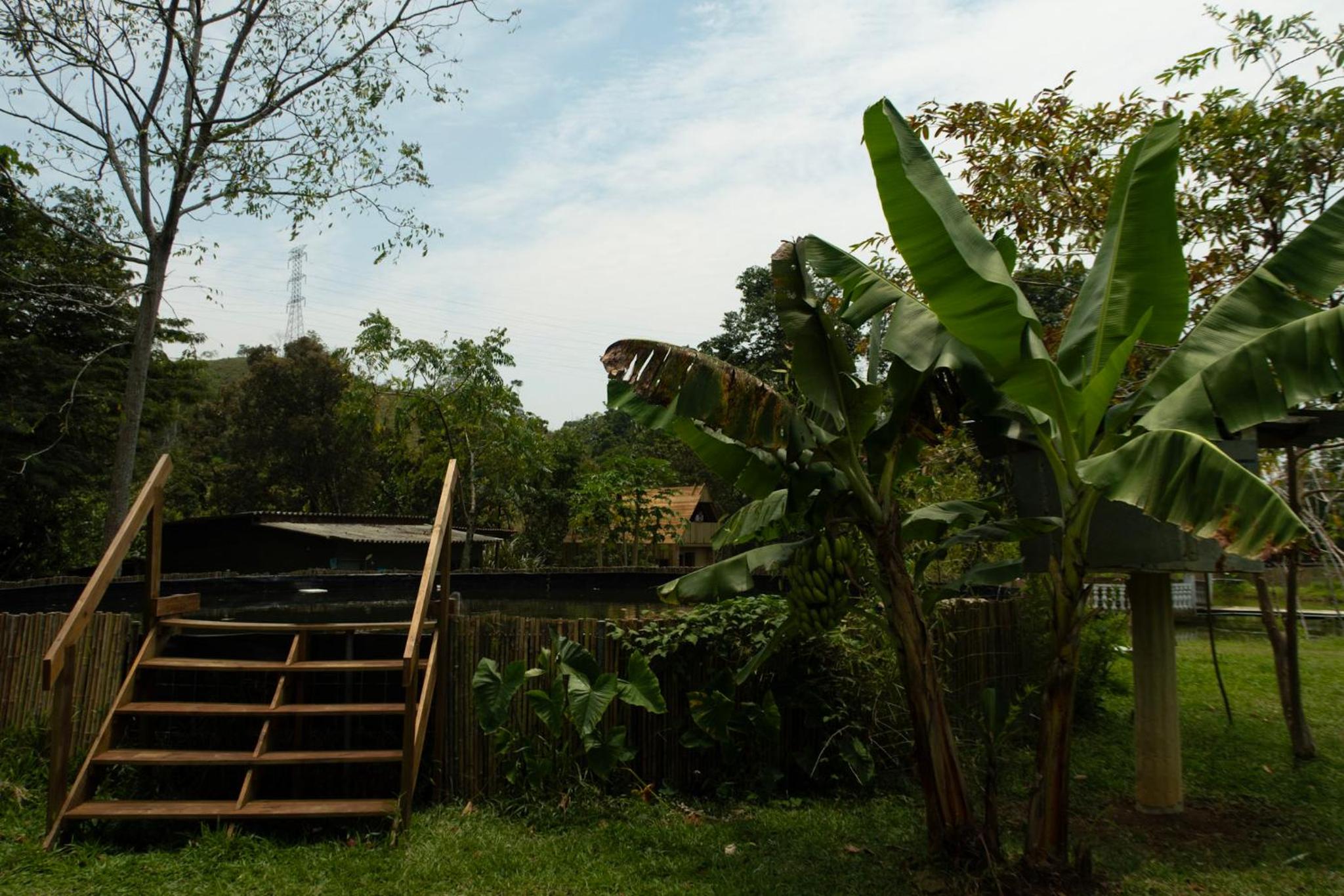RíoBosque Cabañas de lujo frente al rio desayuno incluido san carlos antioquia