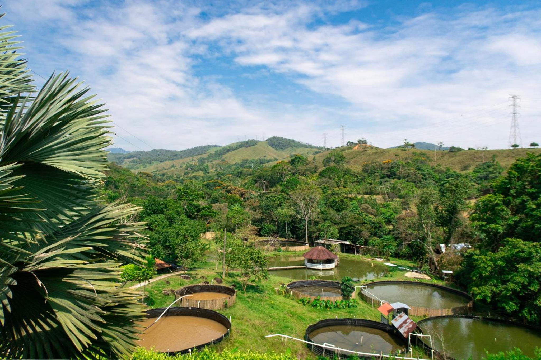 RíoBosque Cabañas de lujo frente al rio desayuno incluido san carlos antioquia