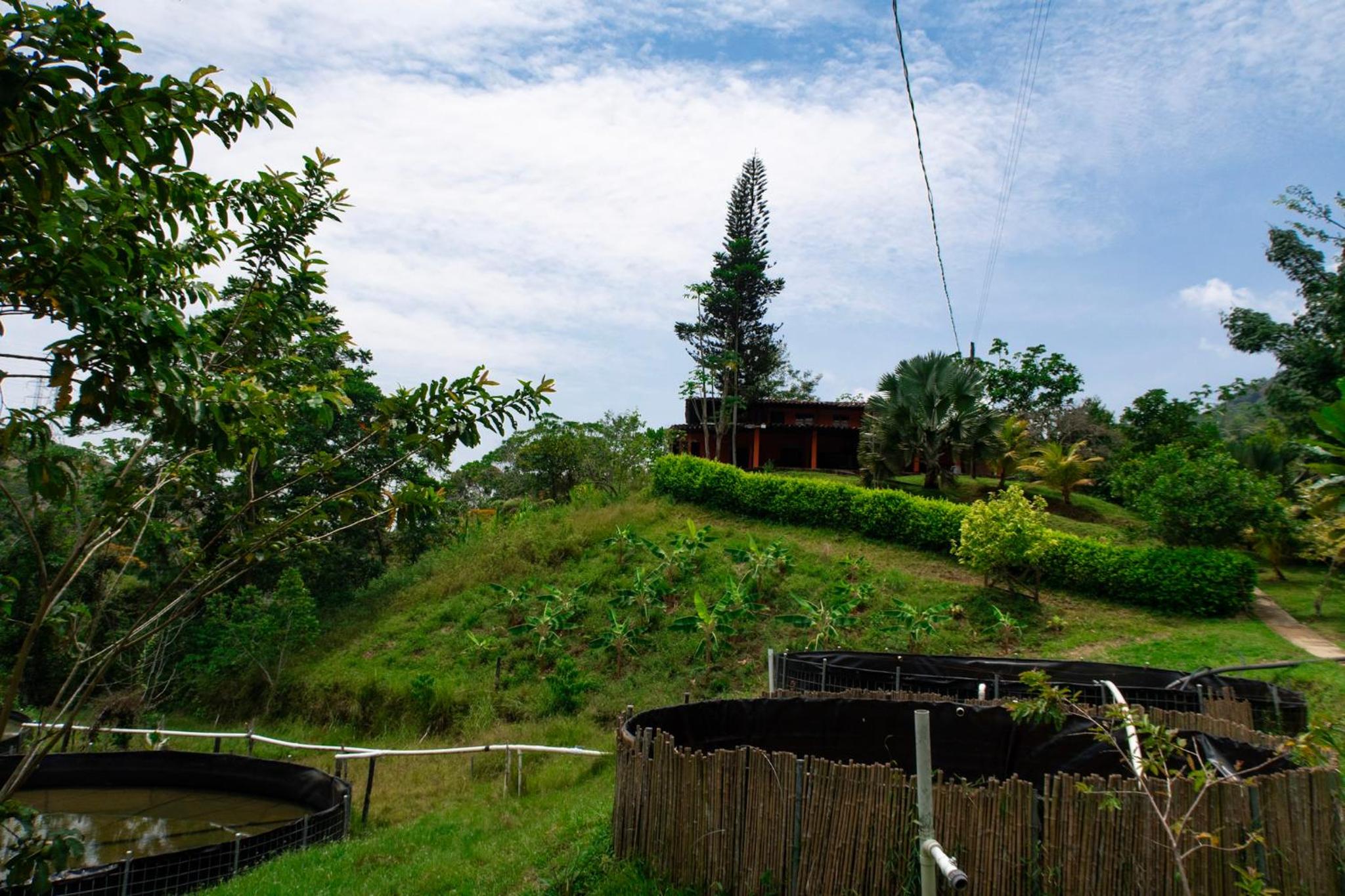 RíoBosque Cabañas de lujo frente al rio desayuno incluido san carlos antioquia