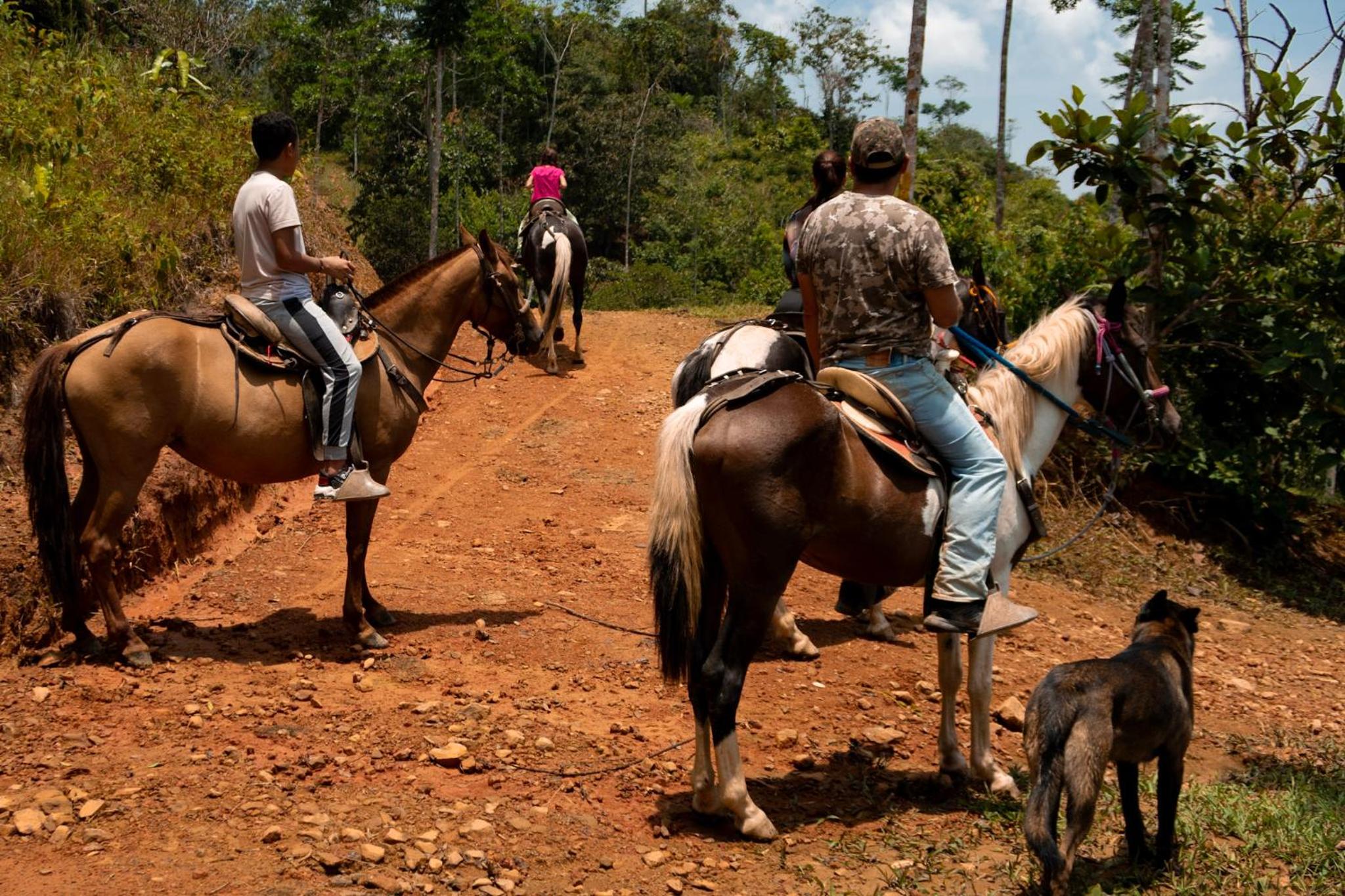 RíoBosque Cabañas de lujo frente al rio desayuno incluido san carlos antioquia