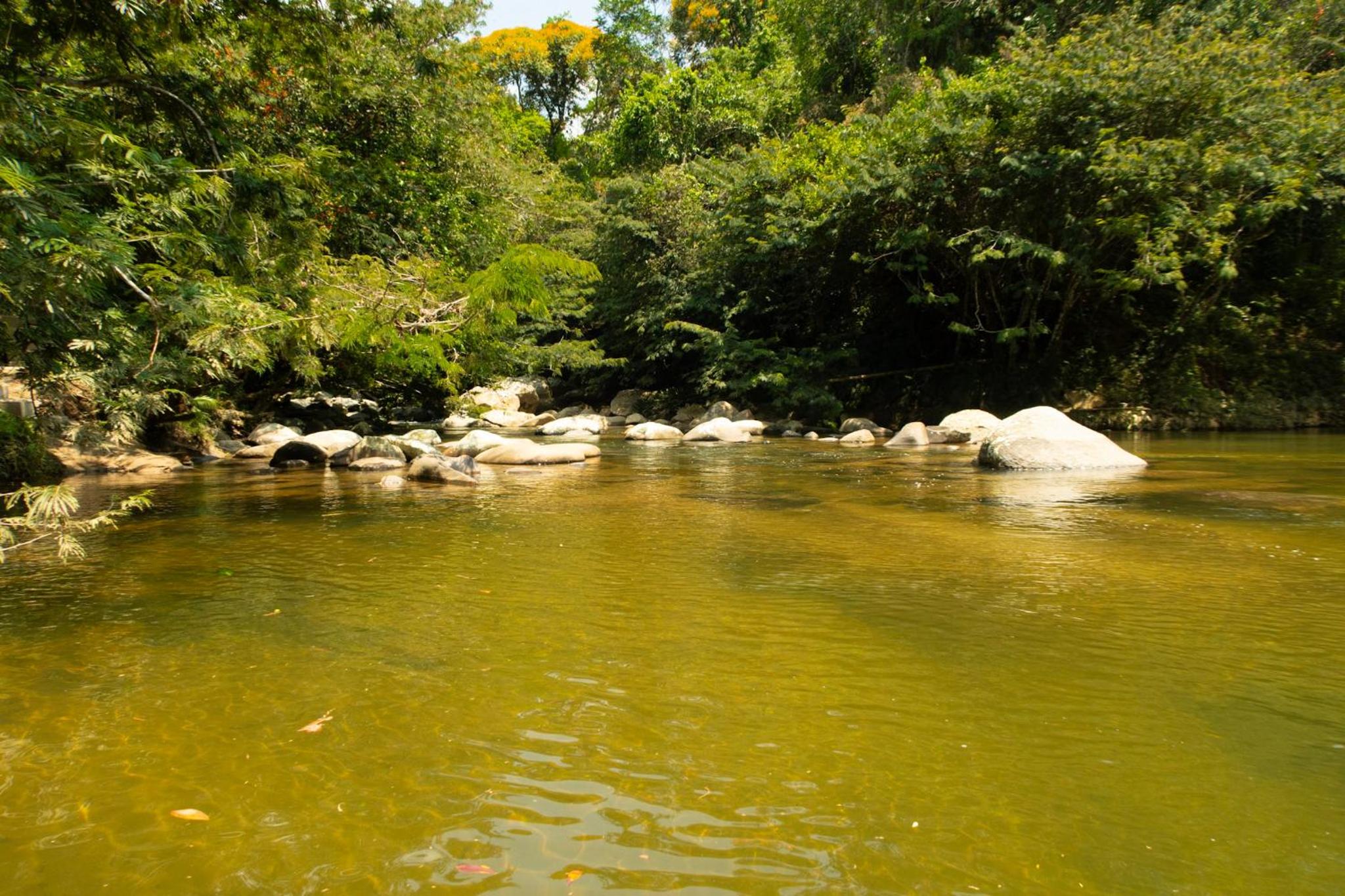 RíoBosque Cabañas de lujo frente al rio desayuno incluido san carlos antioquia