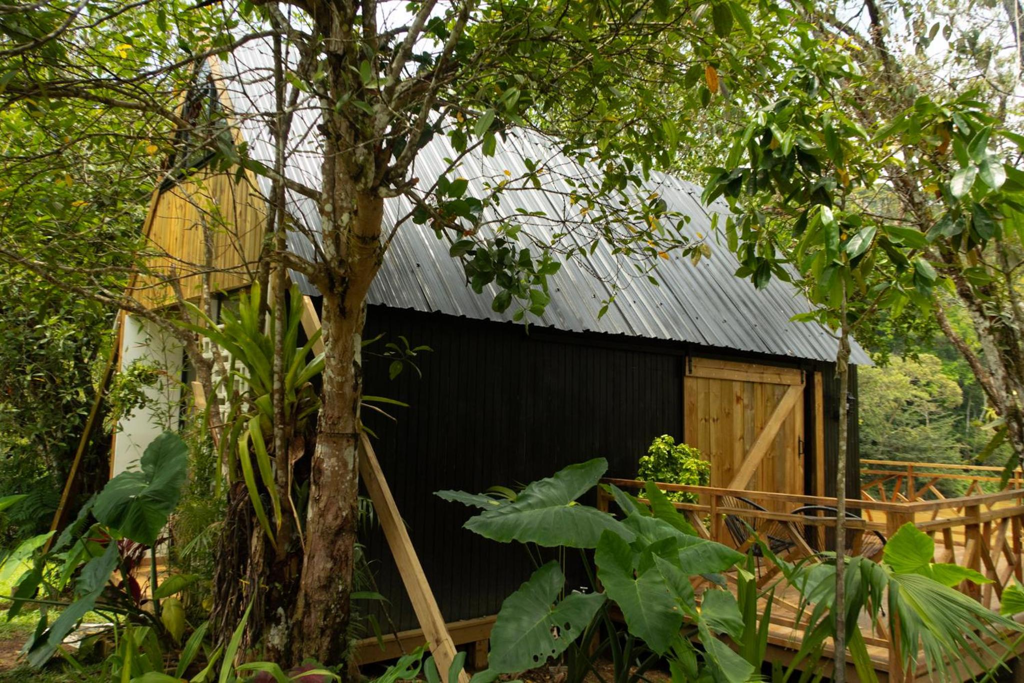 RíoBosque Cabañas de lujo frente al rio desayuno incluido san carlos antioquia