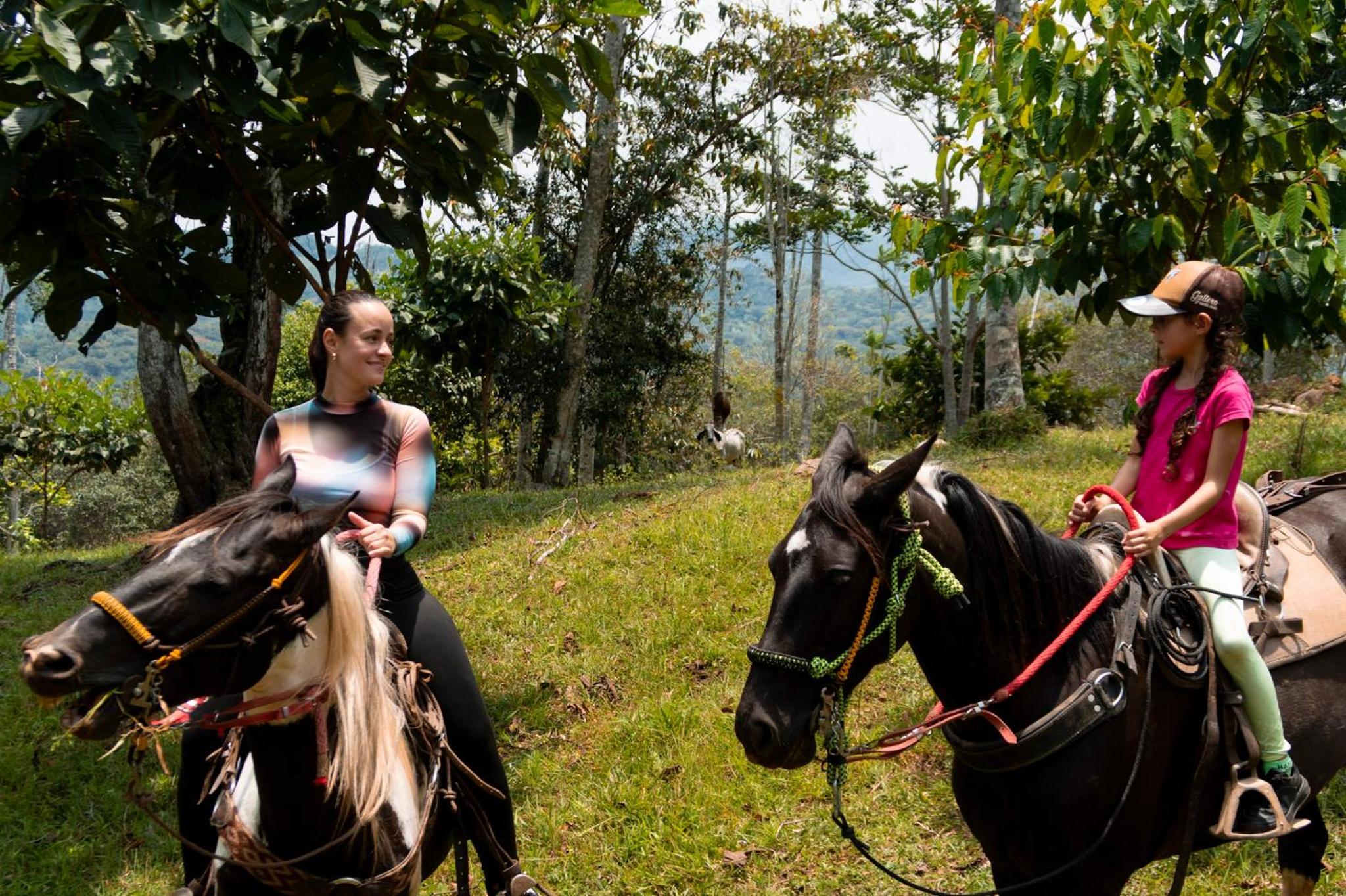RíoBosque Cabañas de lujo frente al rio desayuno incluido san carlos antioquia