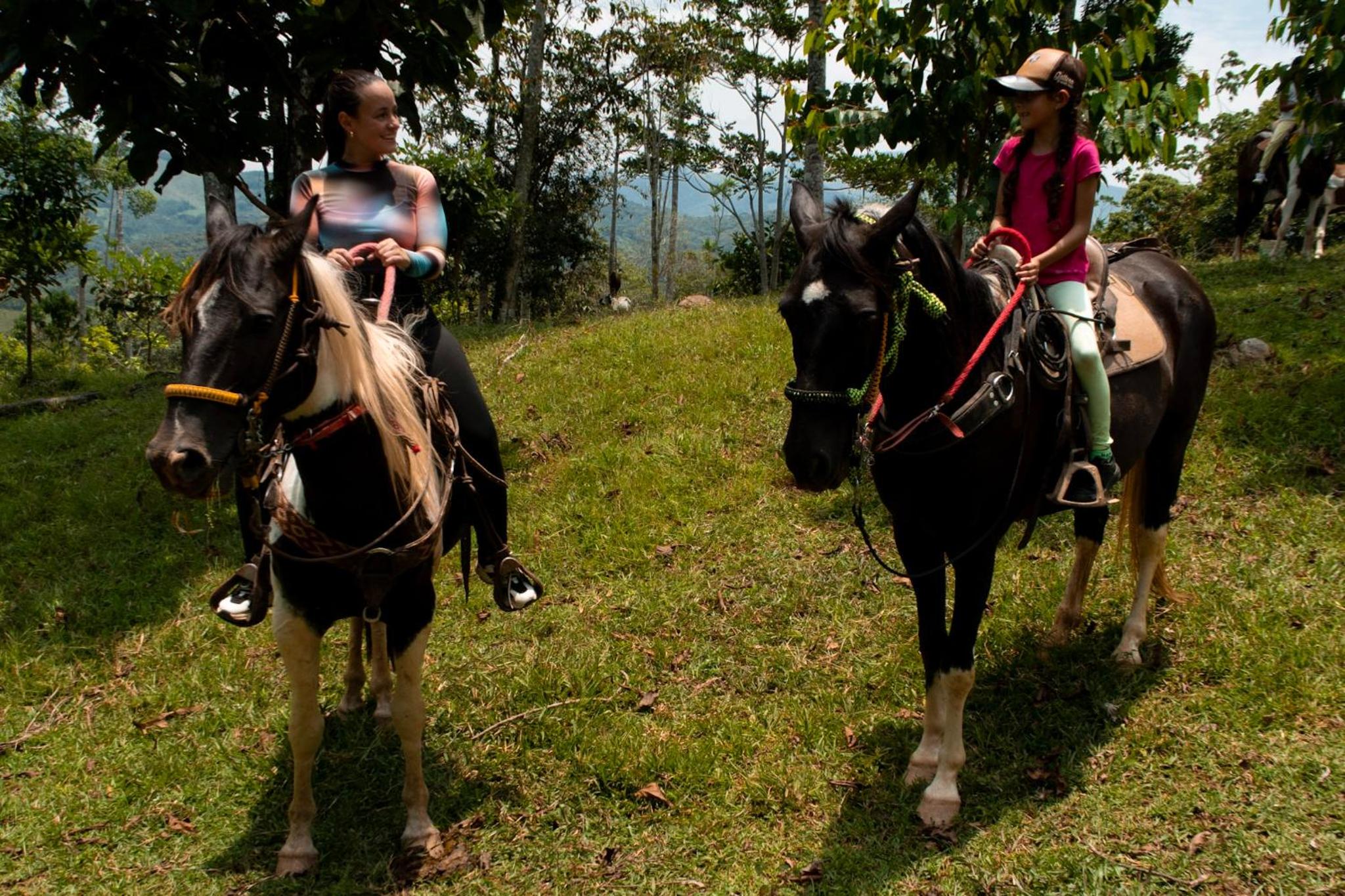 RíoBosque Cabañas de lujo frente al rio desayuno incluido san carlos antioquia