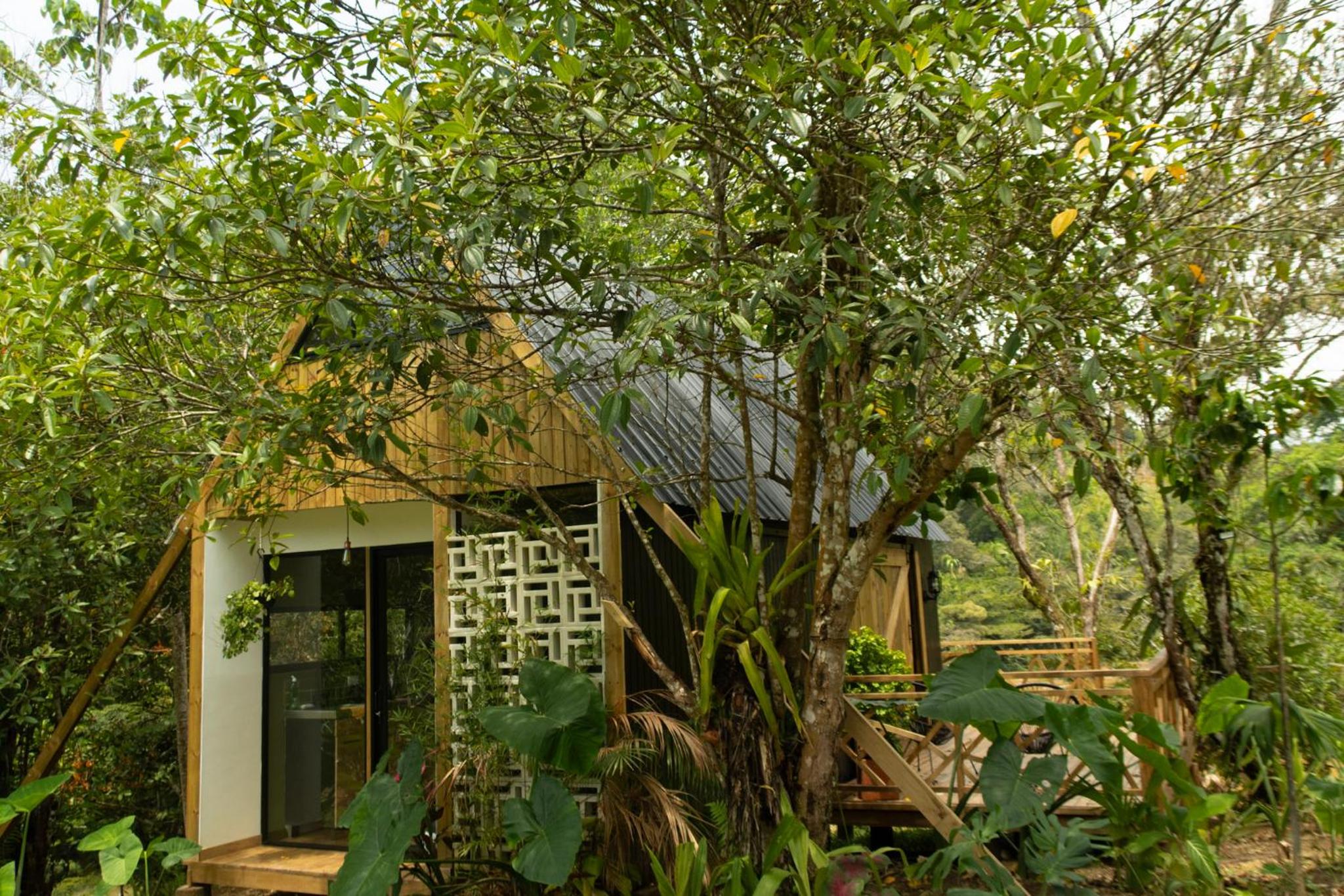 RíoBosque Cabañas de lujo frente al rio desayuno incluido san carlos antioquia