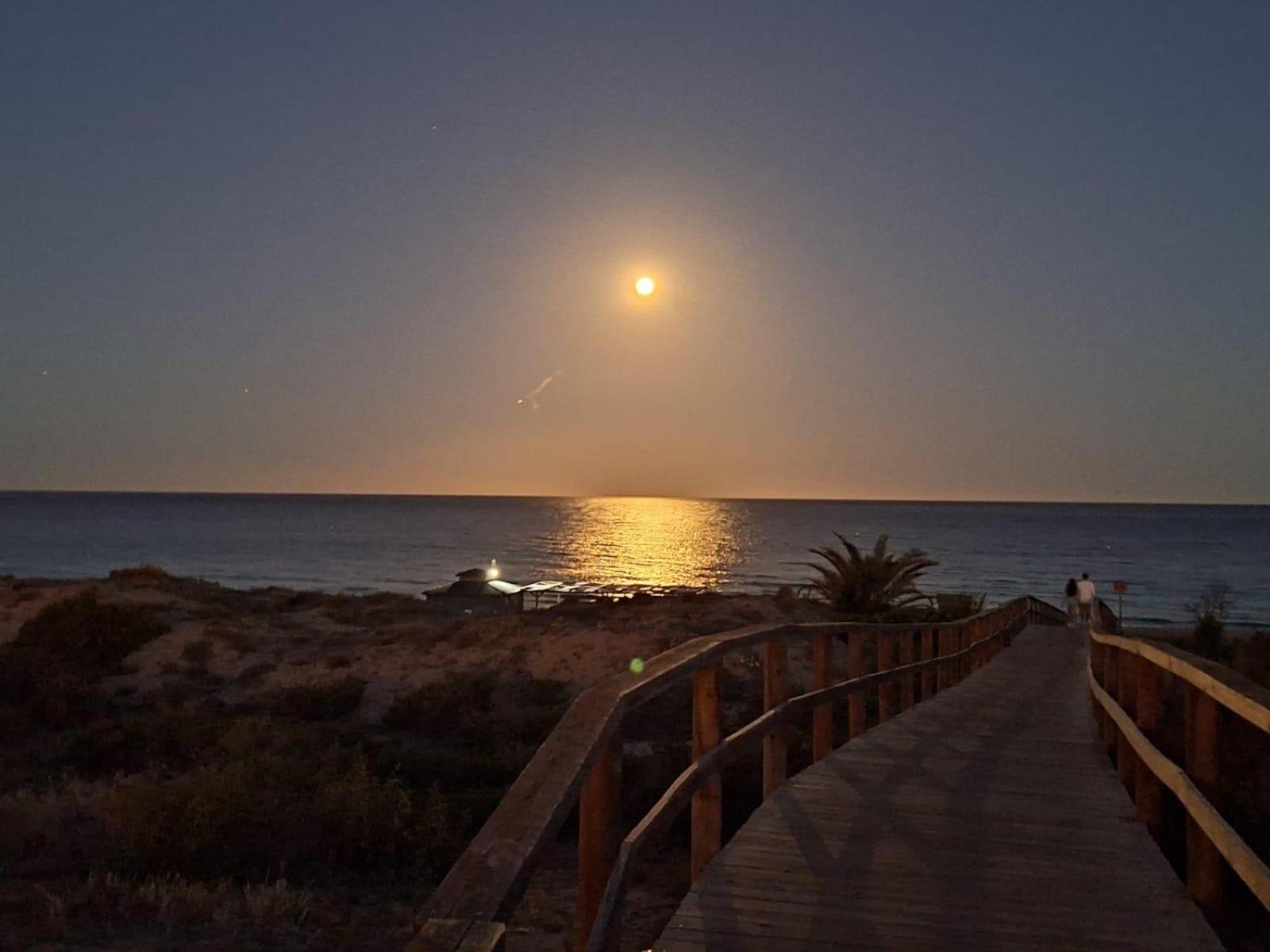 Ocean View Beach Apartment Arenales del Sol