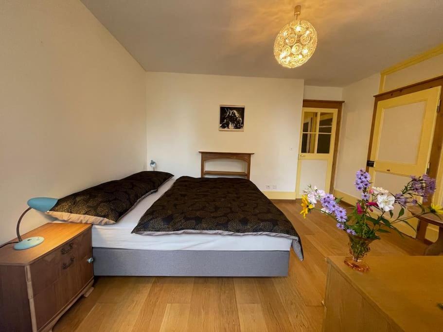 Petit appartement au rez