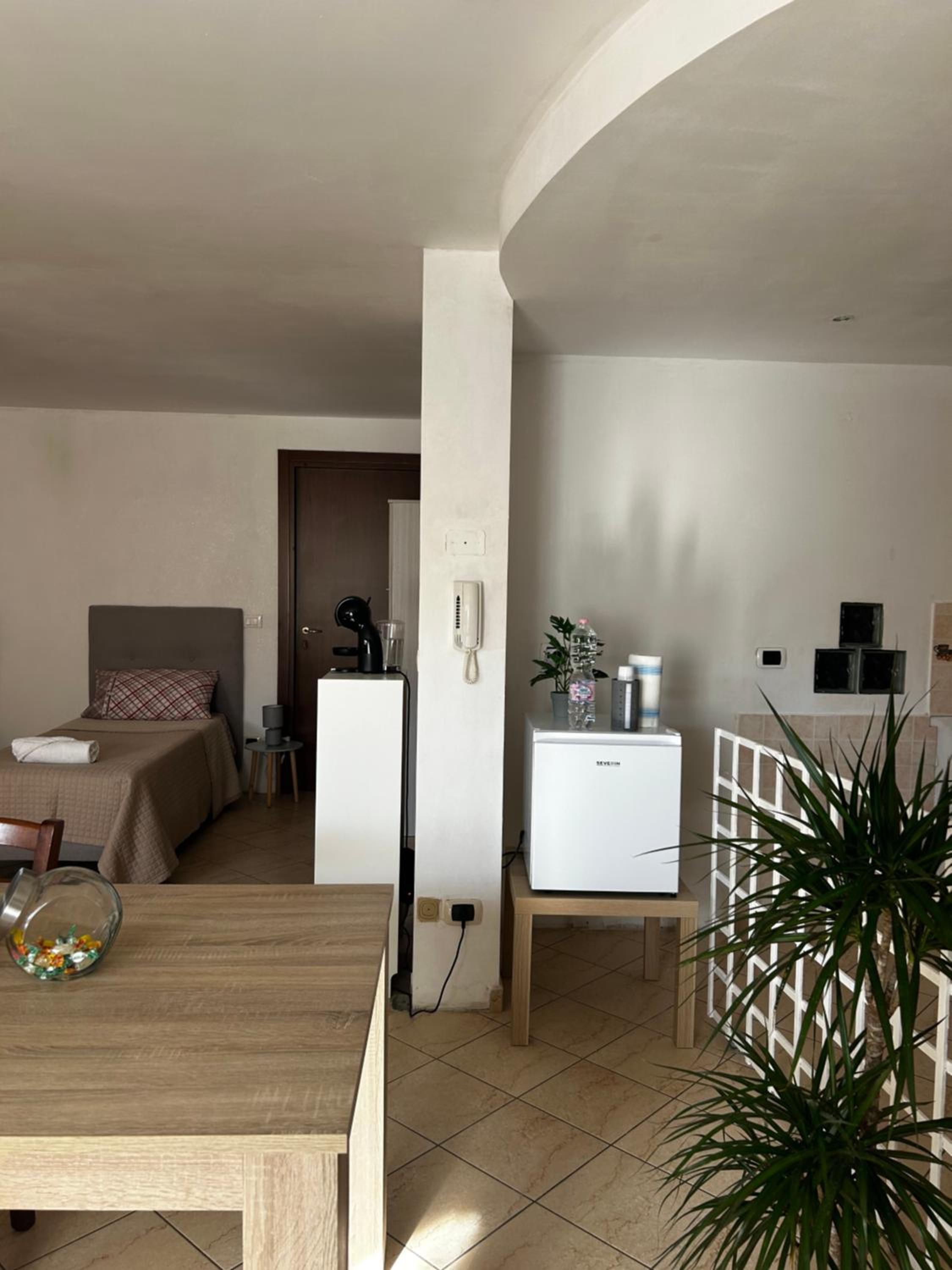 Stella del mattino photo 3