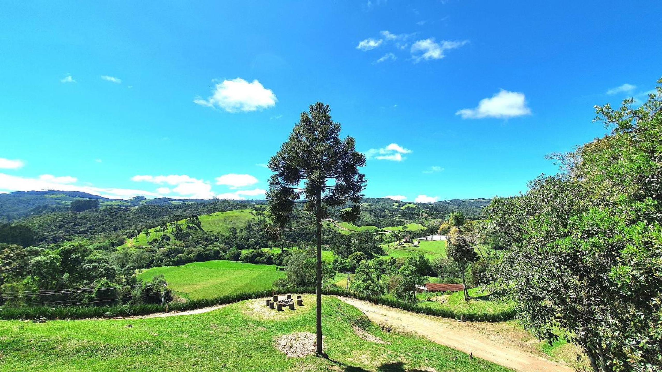 Cabana Bad Wolf - Rancho Queimado - SC