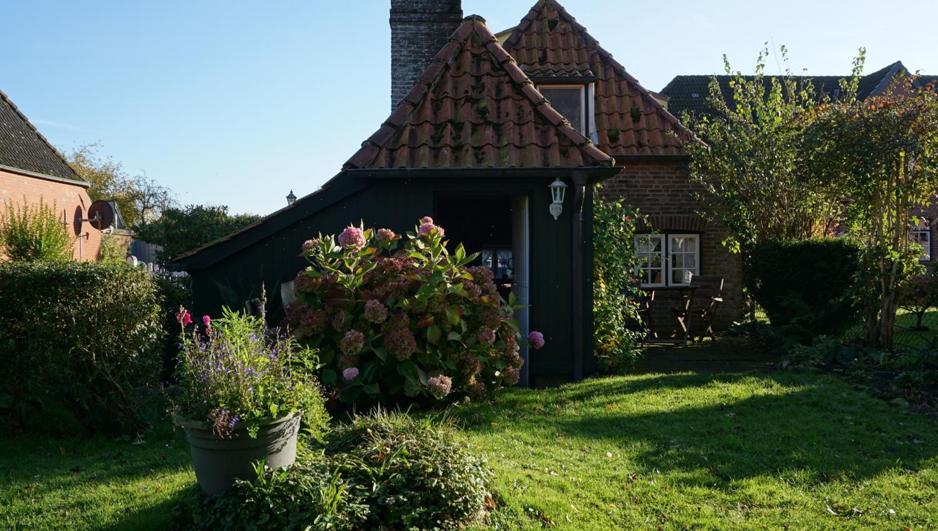 Doktors Hus