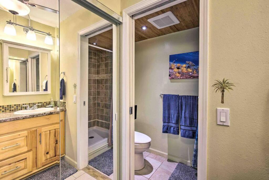 BOOK CHRISTMAS AND WINTER DATES HERE - ISLANDER CoNDOS