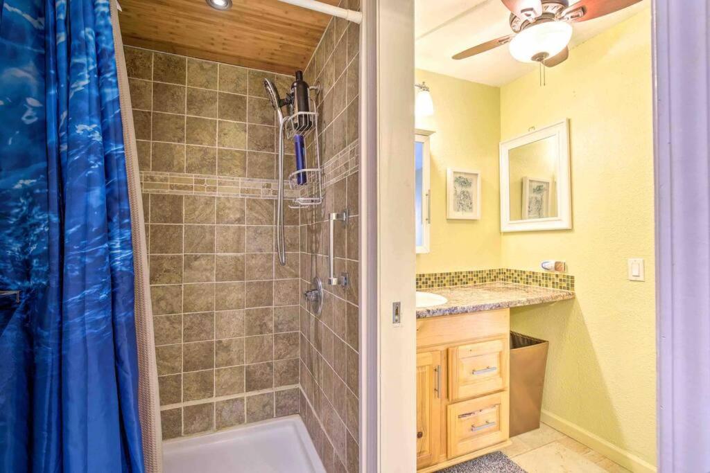 BOOK CHRISTMAS AND WINTER DATES HERE - ISLANDER CoNDOS
