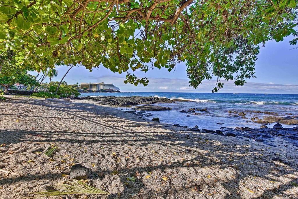 BOOK CHRISTMAS AND WINTER DATES HERE - ISLANDER CoNDOS