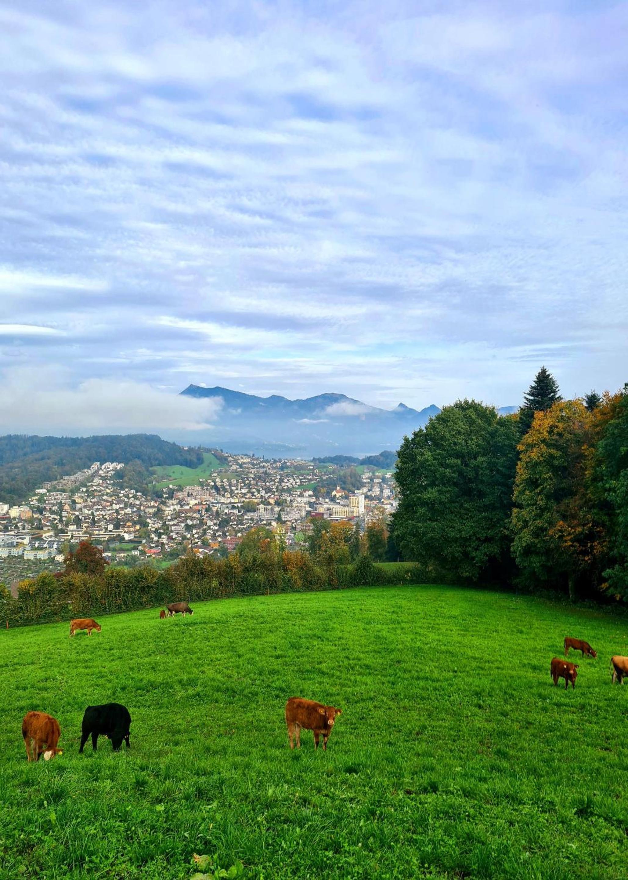 Tiny Höllhof Adventure - near Lucerne