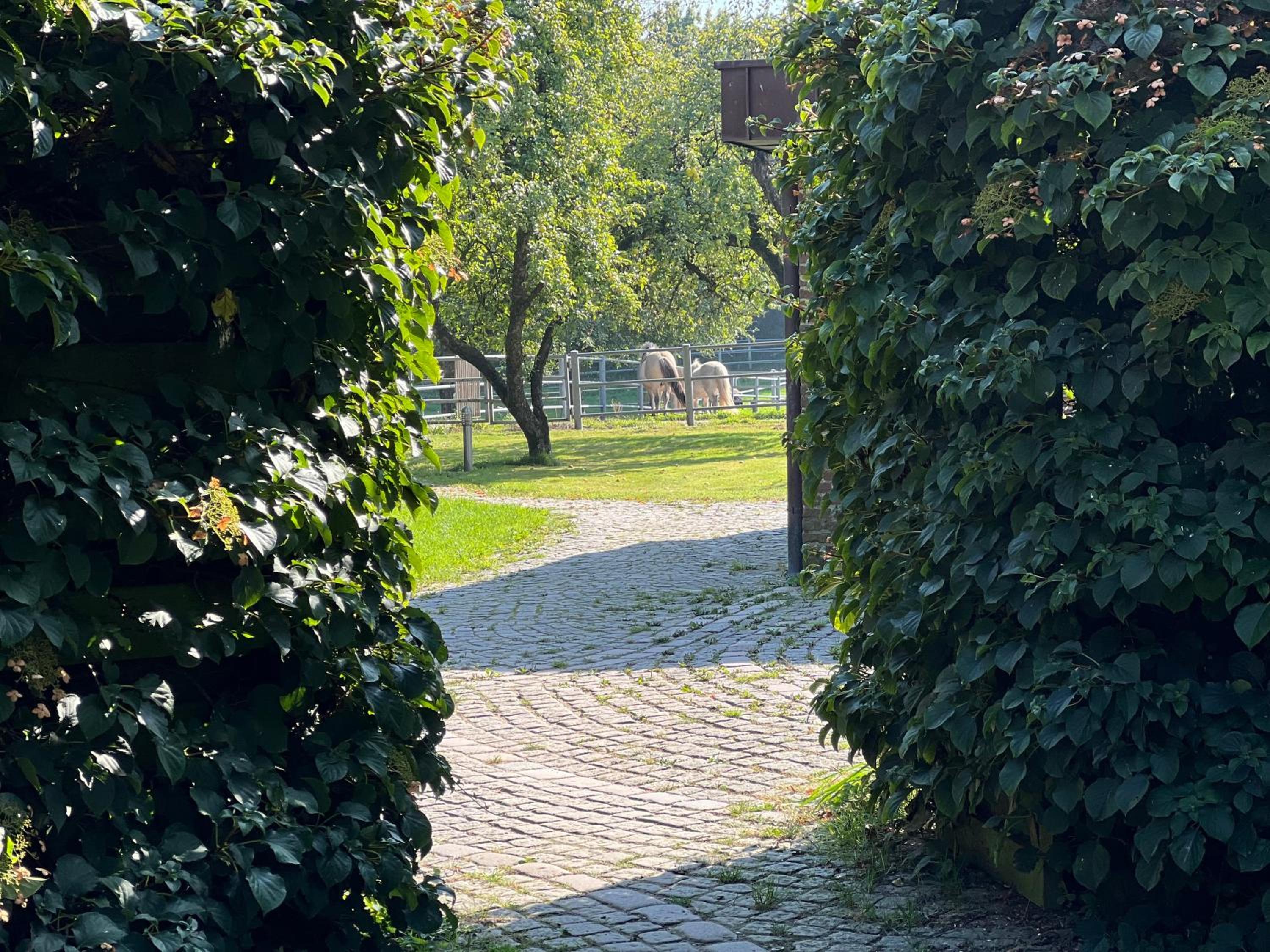 Ferienhaus Gandur