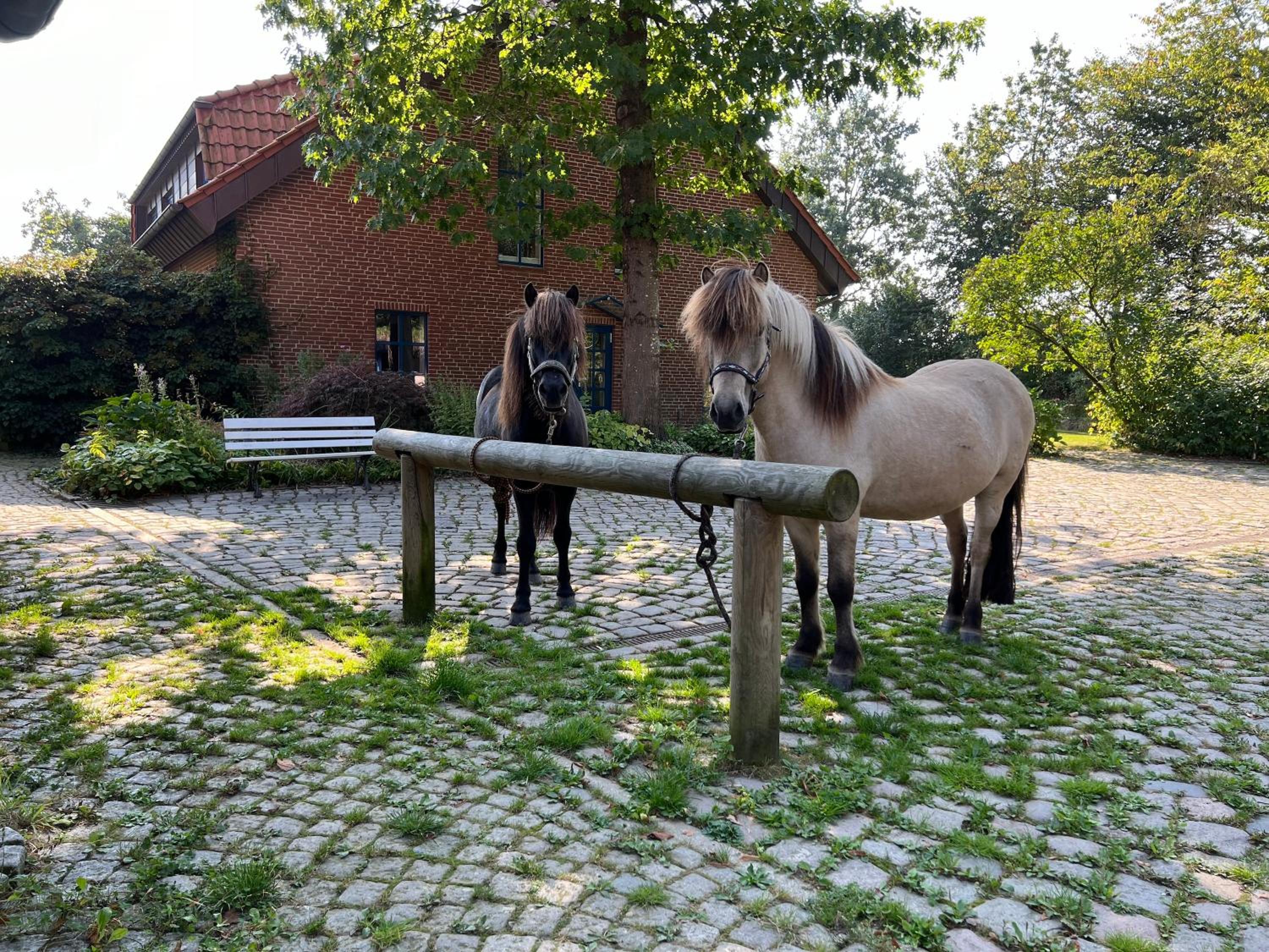 Ferienhaus Haupthaus