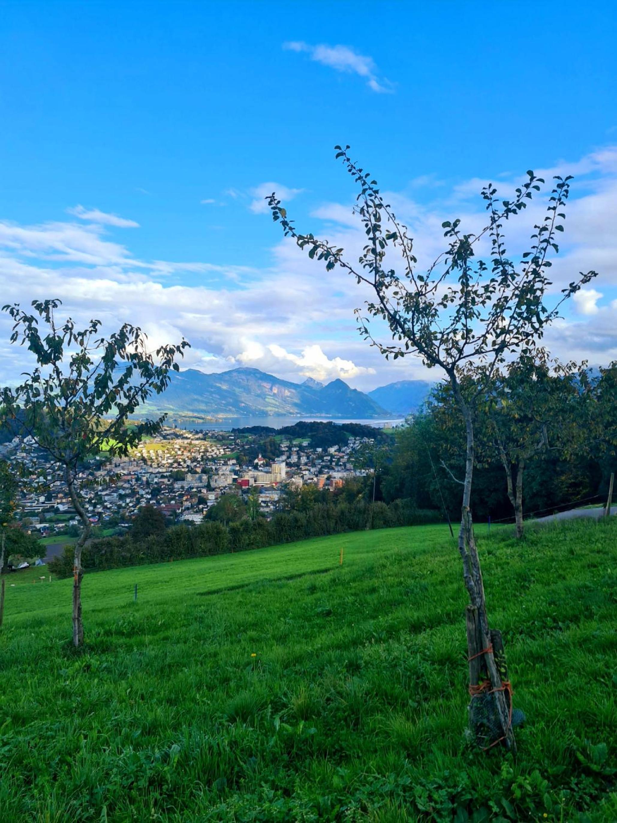 Tiny Höllhof Adventure - near Lucerne