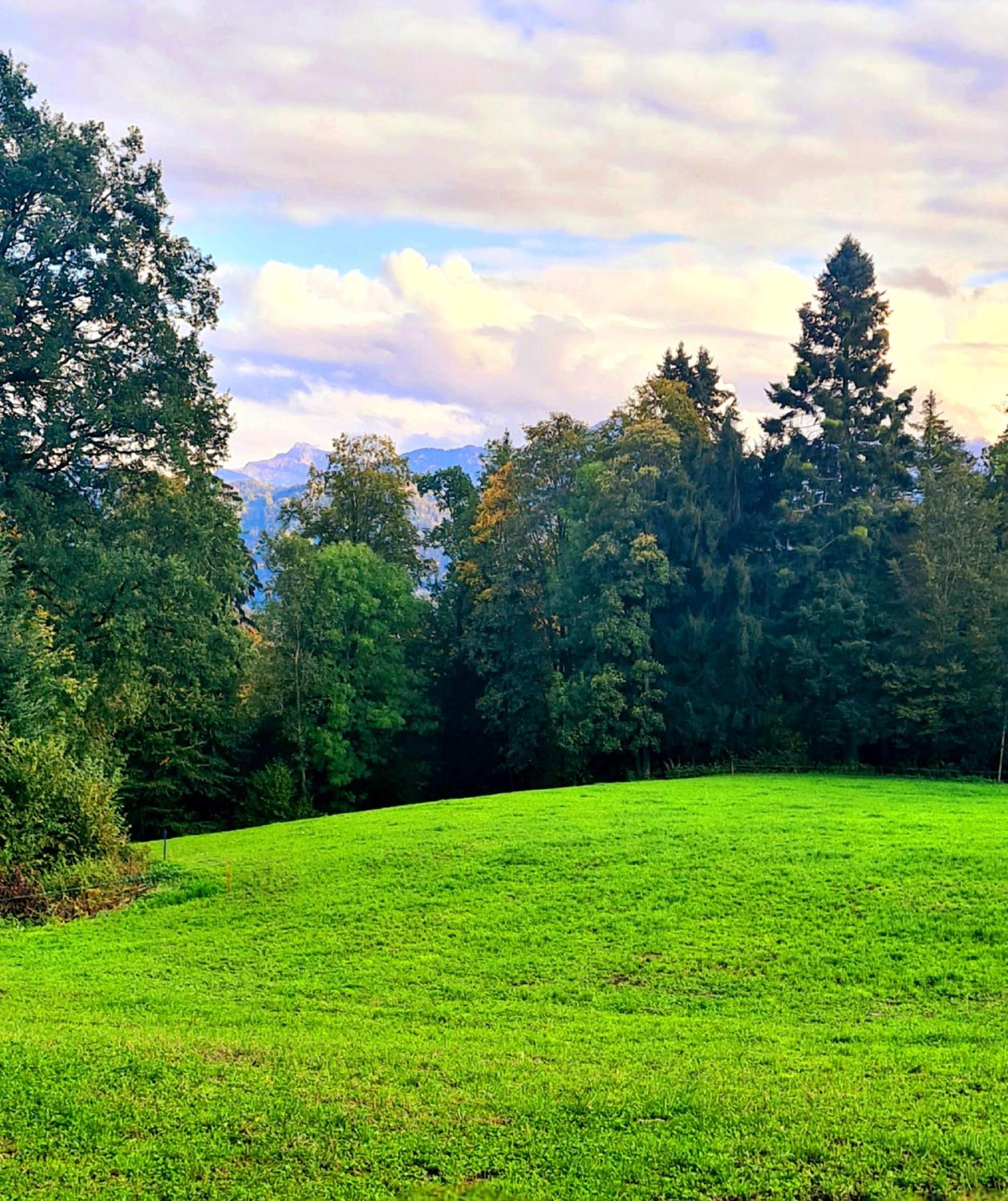 Tiny Höllhof Adventure - near Lucerne