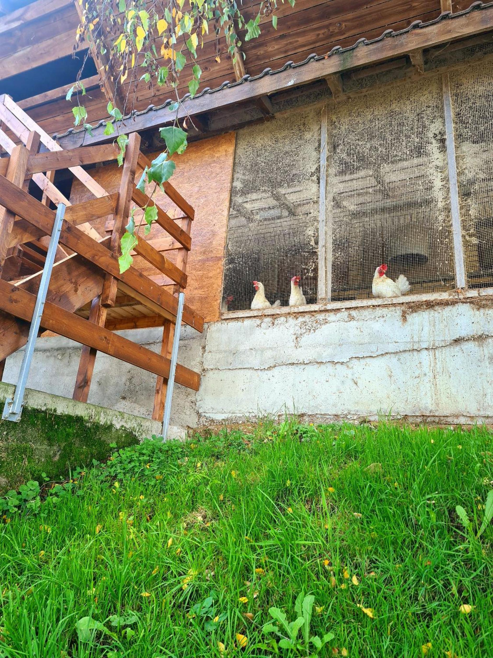 Tiny Höllhof Adventure - near Lucerne