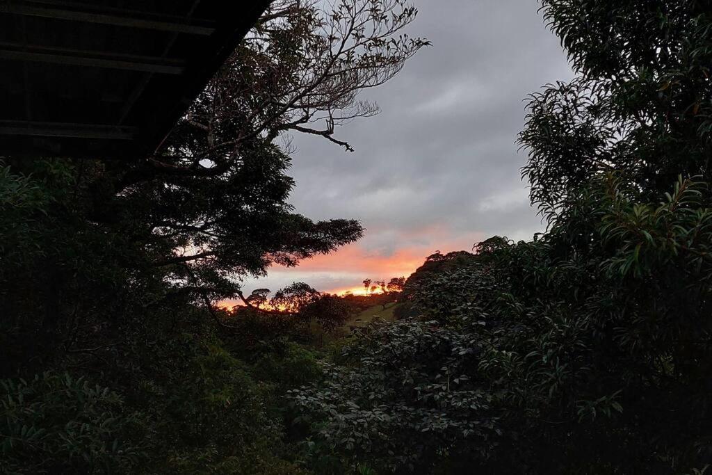 CABAÑAS REFUGIO VERDE MONTEVERDE, SUITE TANGARA, beautiful and full equipment first floor suite with jacuzzi