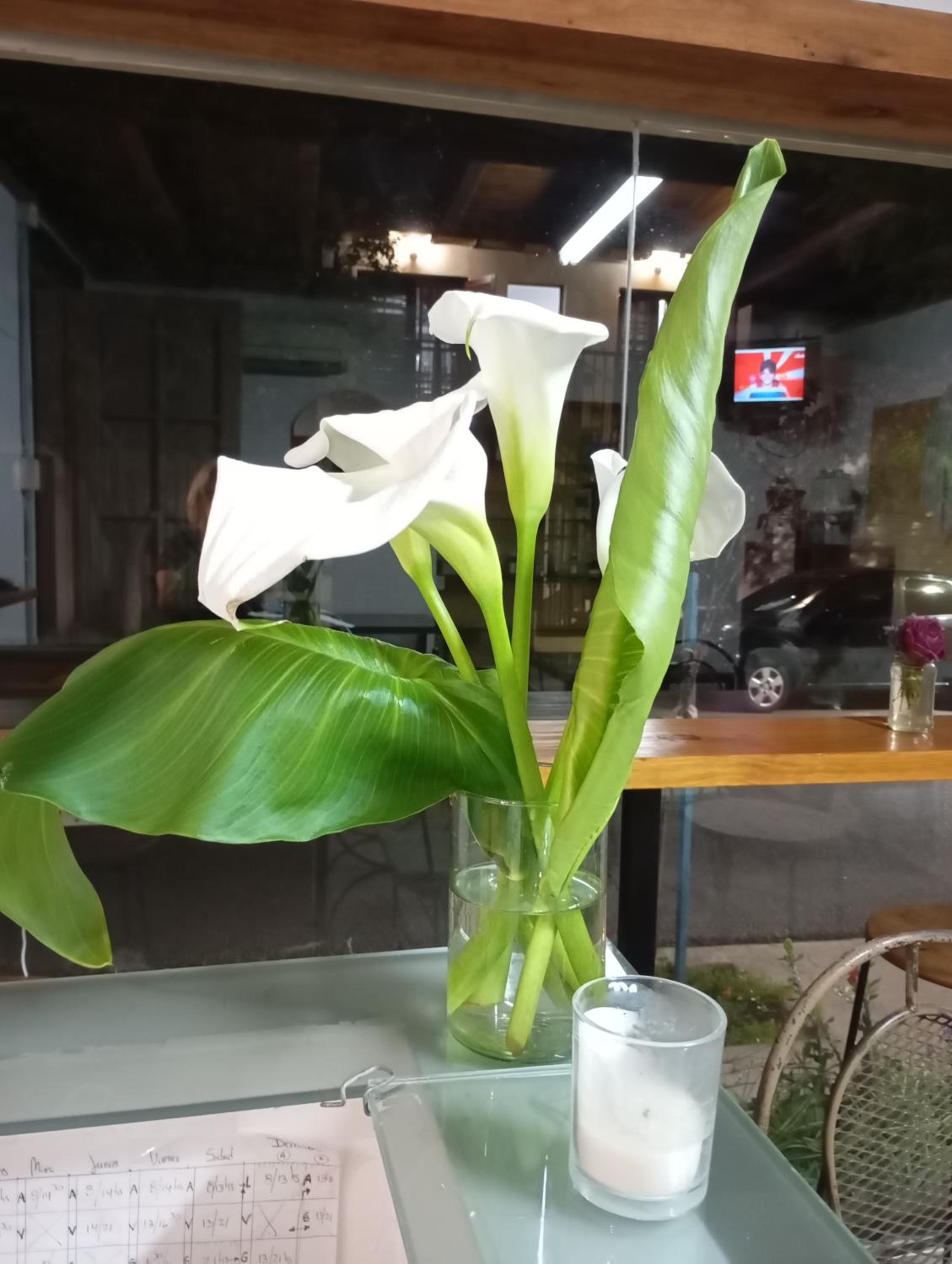 Hostel Casa Blanca