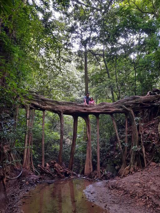 Cabañas Refugio Verde Monteverde