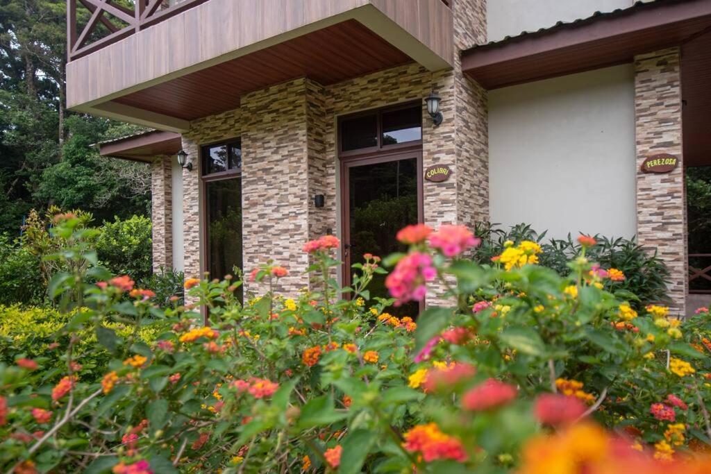CABAÑAS REFUGIO VERDE MONTEVERDE, PREMIUM SUITE COLIBRI, beautiful and full equipment first floor suite with mountain view jacuzzi