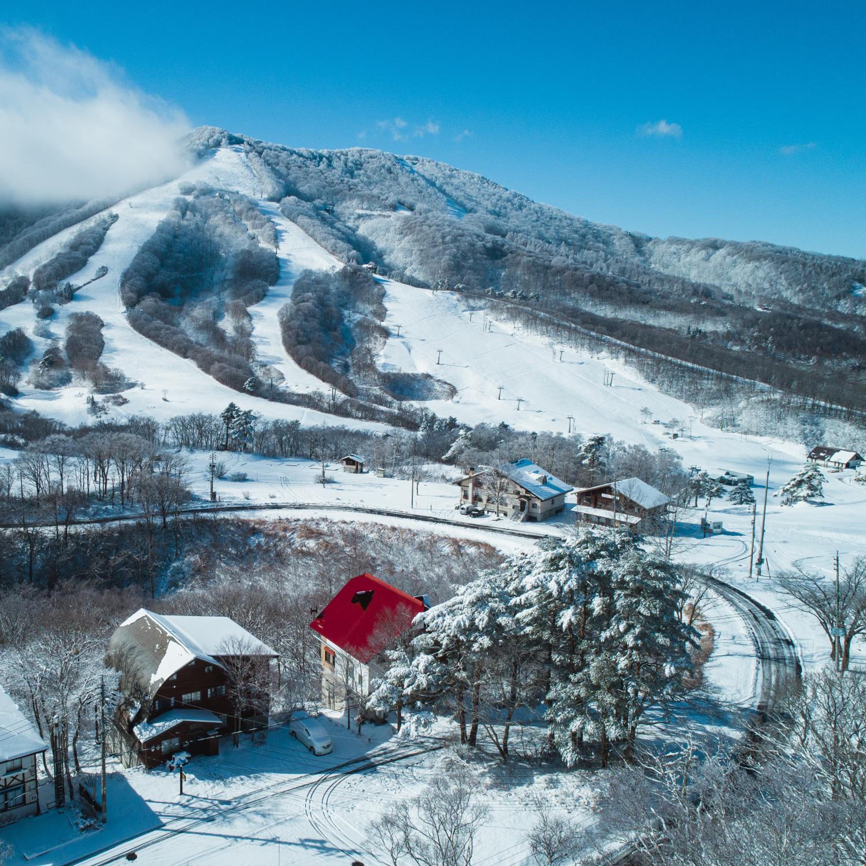Woodpecker Lodge - Madarao