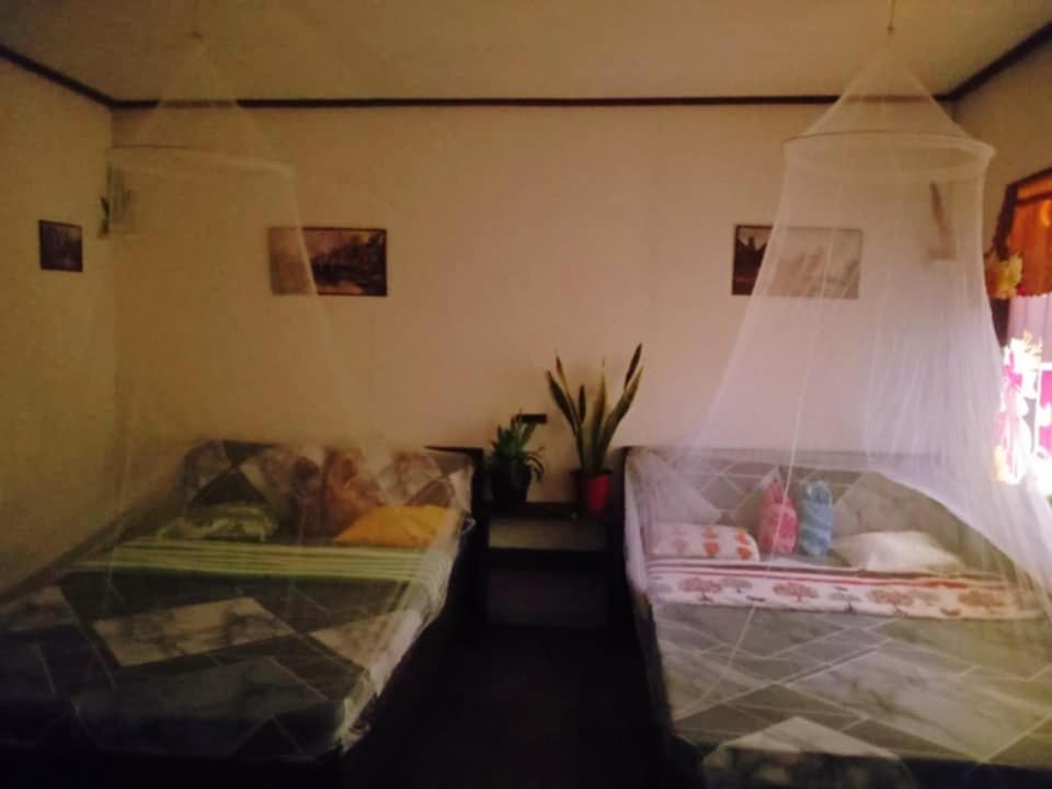 Photo 46
