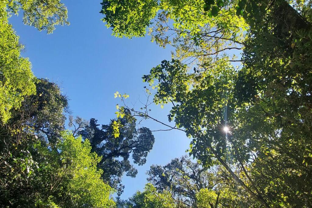 CABAÑAS REFUGIO VERDE MONTEVERDE , SUITE QUETZAL, beautiful and full equipment first floor suite with mountain view balcony