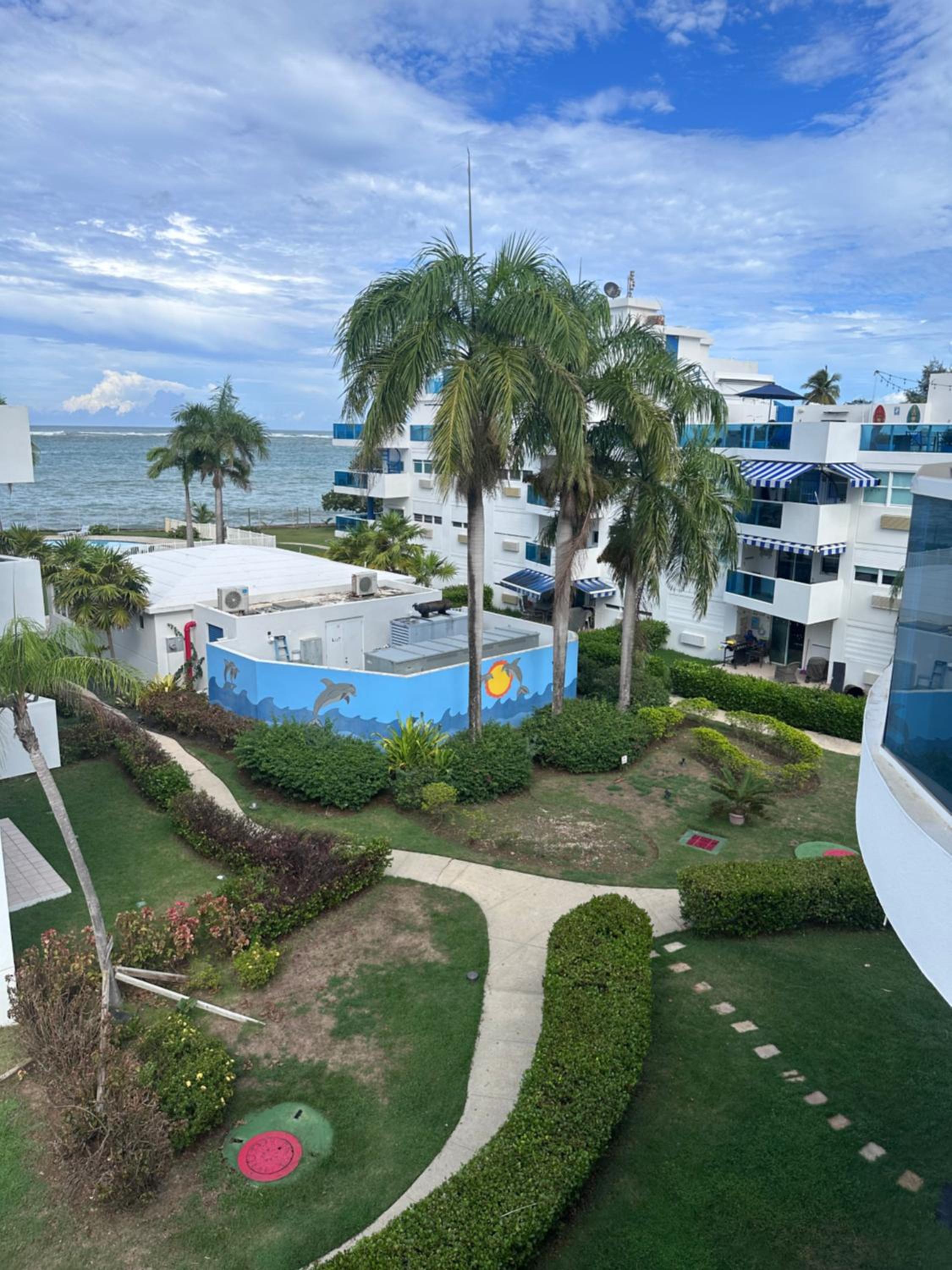 Photo 18