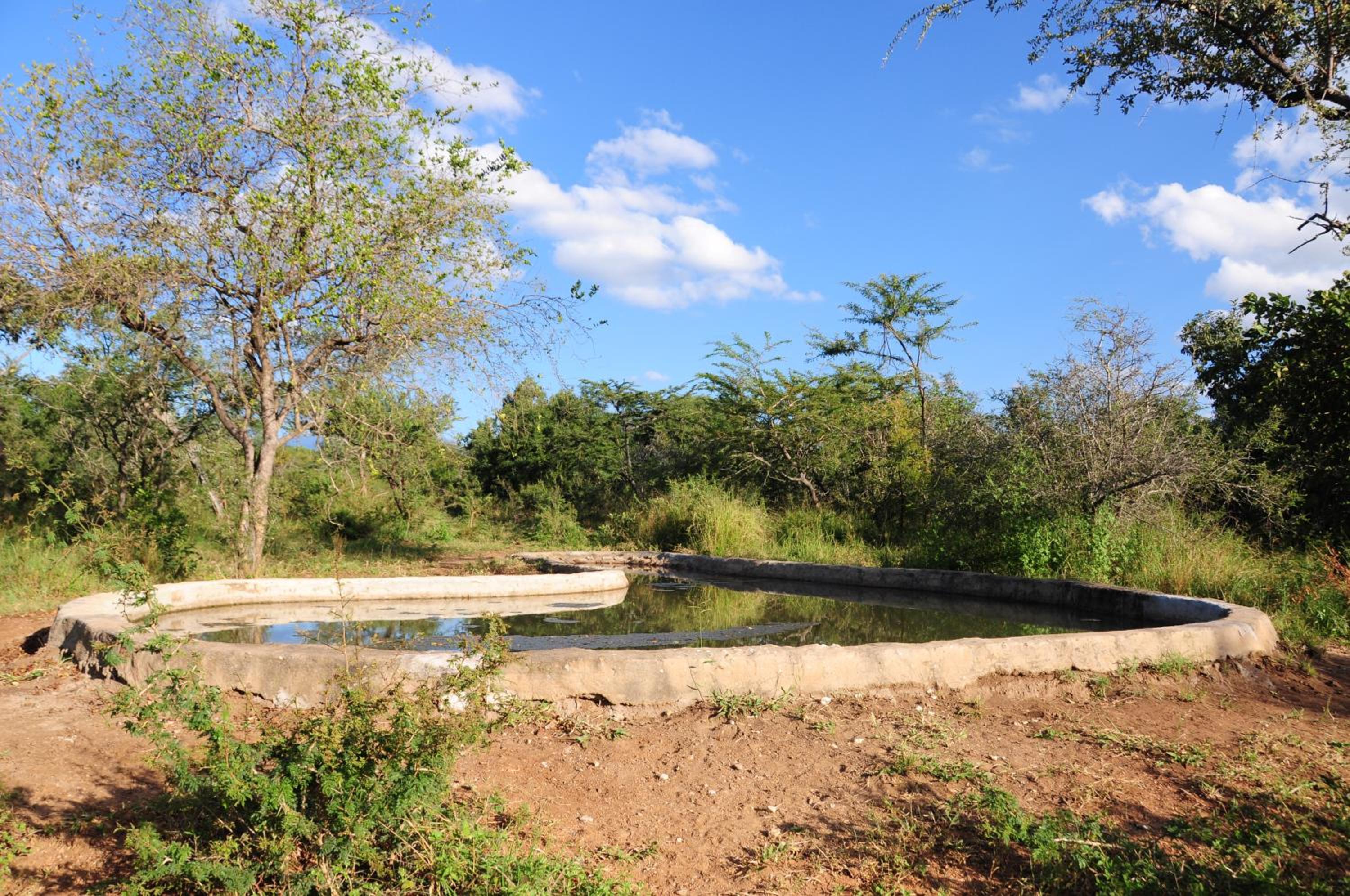 Panzi Lodge