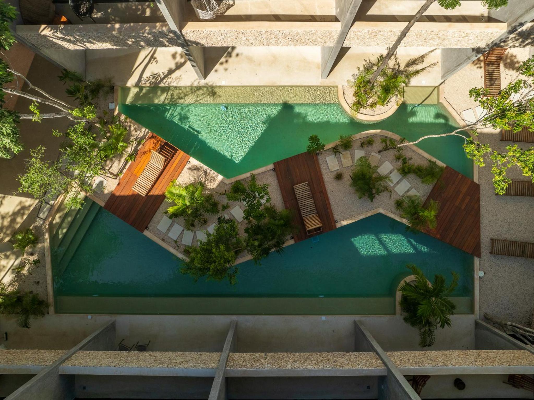 *Jungle PH w/pool, close to Downtown & Beach view 3