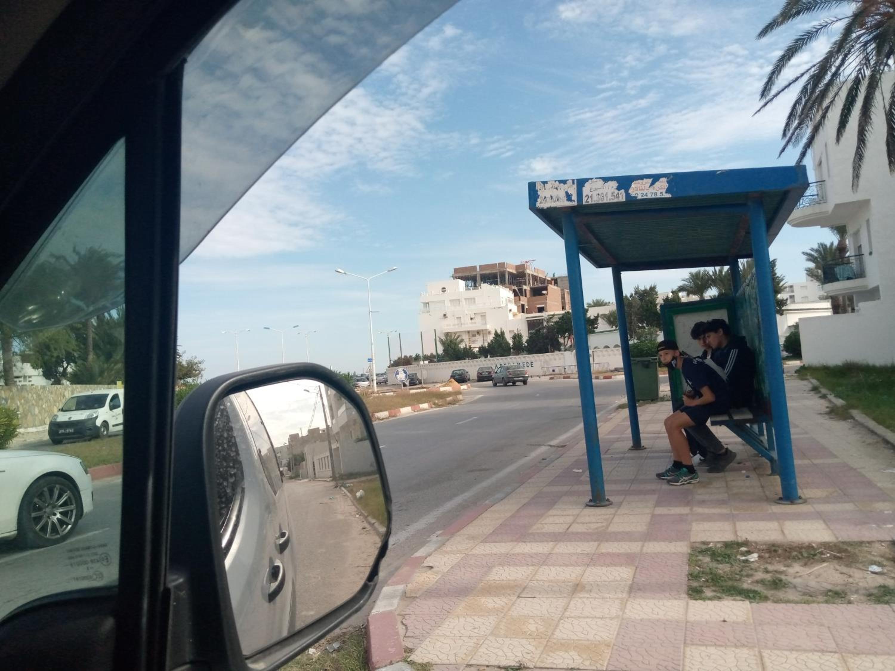 palmier monastir