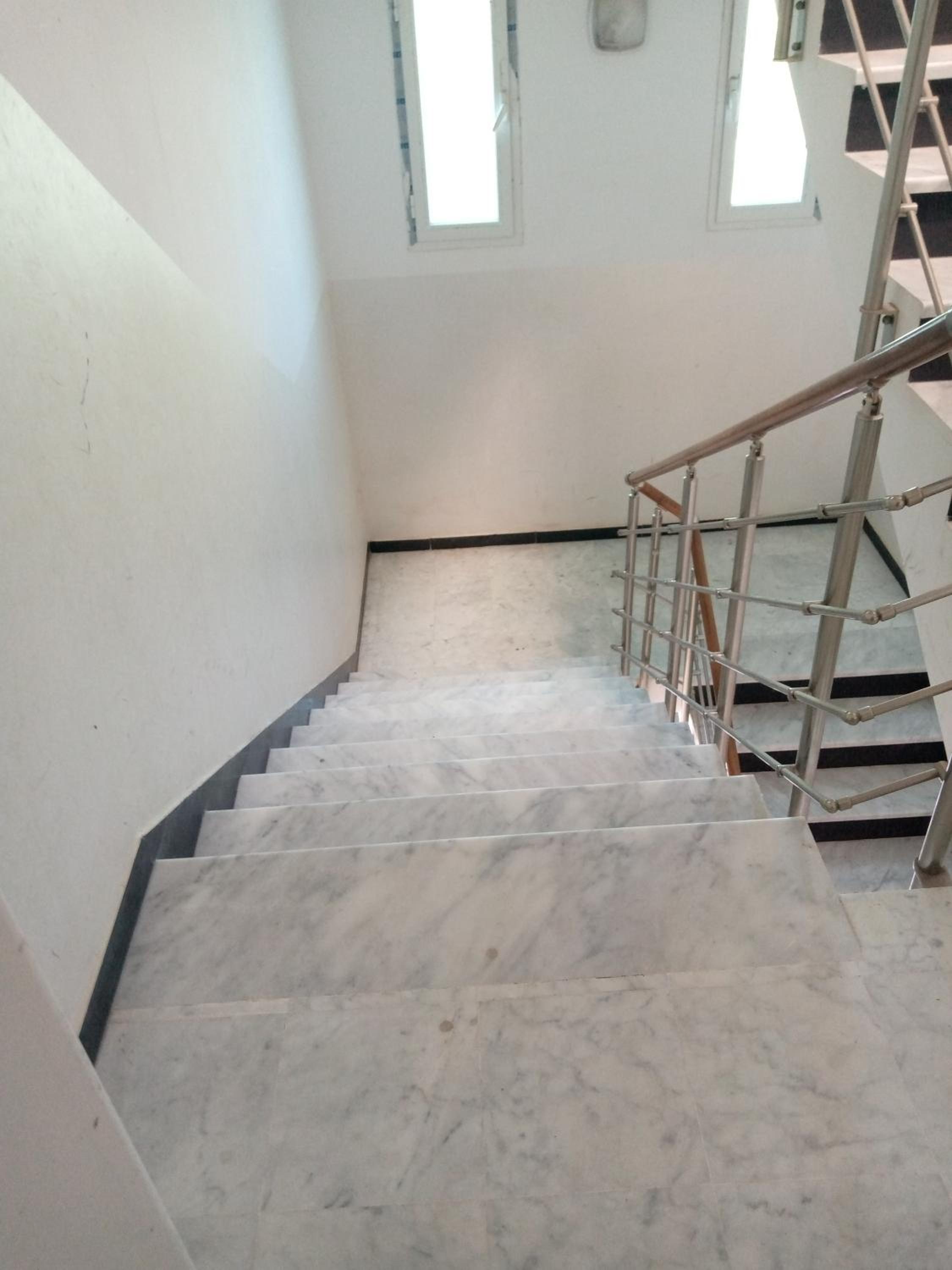 palmier monastir